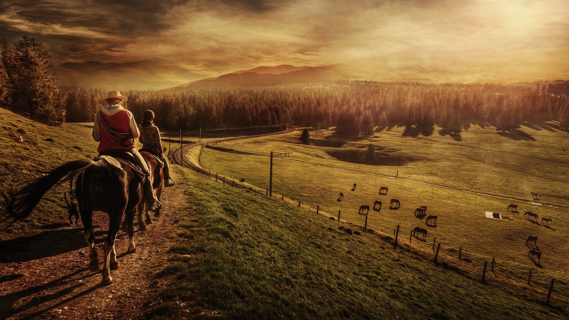 Equitation sports, Horse riding, HD wallpapers, Hintergrnde, 1920x1080 Full HD Desktop