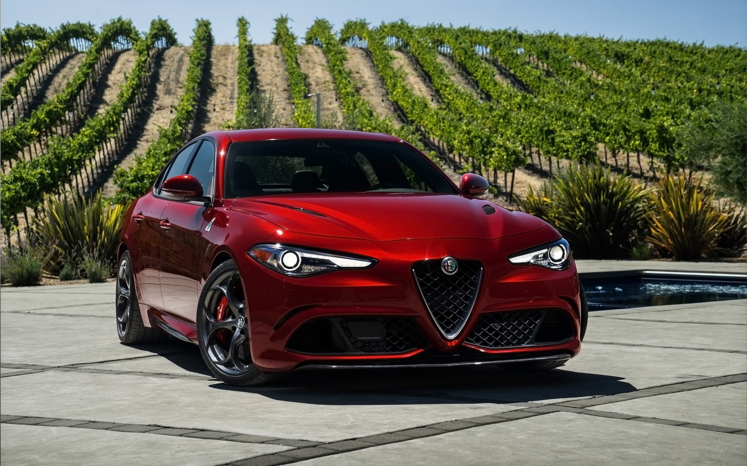 Quadrifoglio Verde, Alfa Romeo Giulia Wallpaper, 2560x1600 HD Desktop