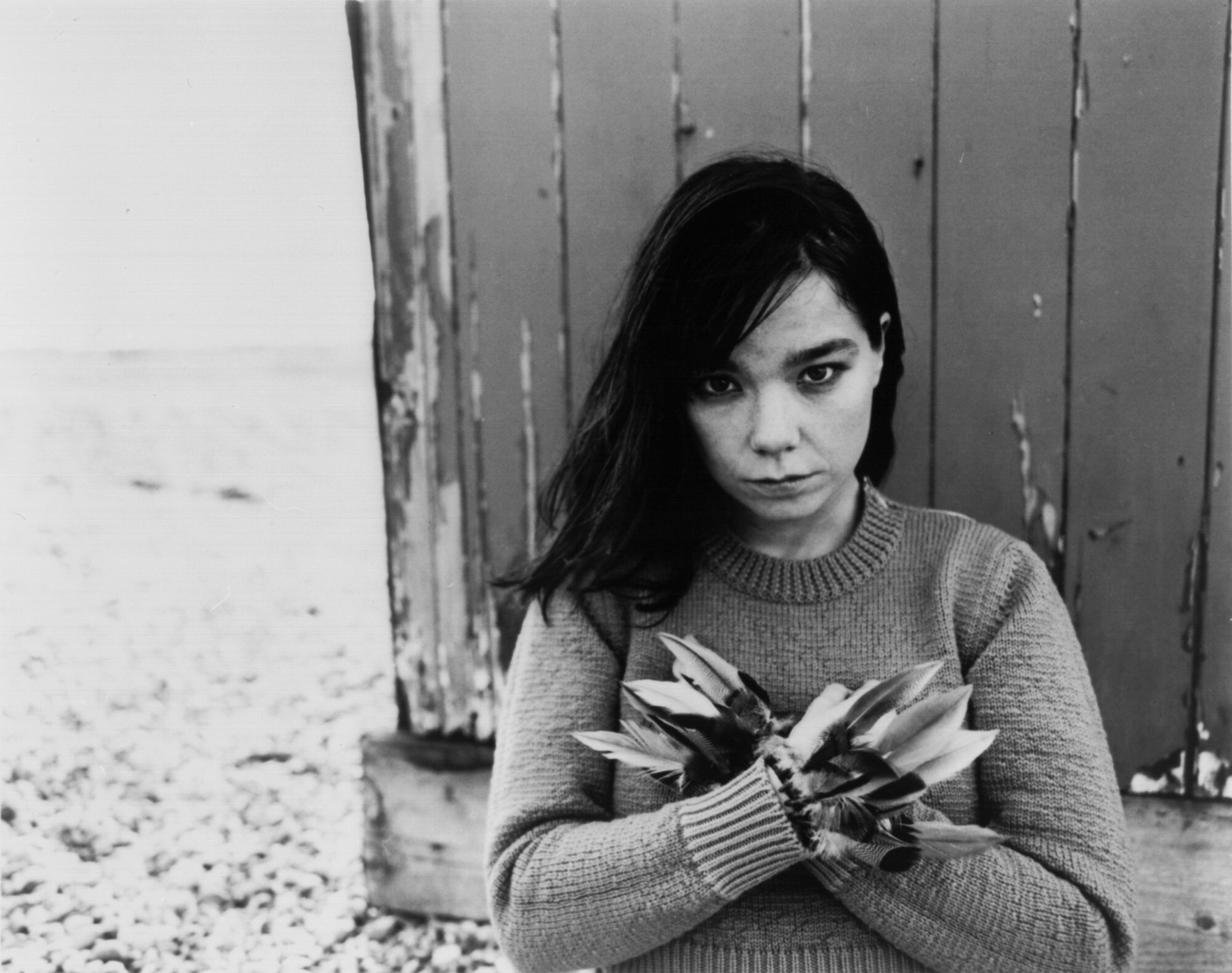 Bjork (Celebs), Bjork's HD wallpapers, Captivating imagery, Music icon, 2000x1580 HD Desktop