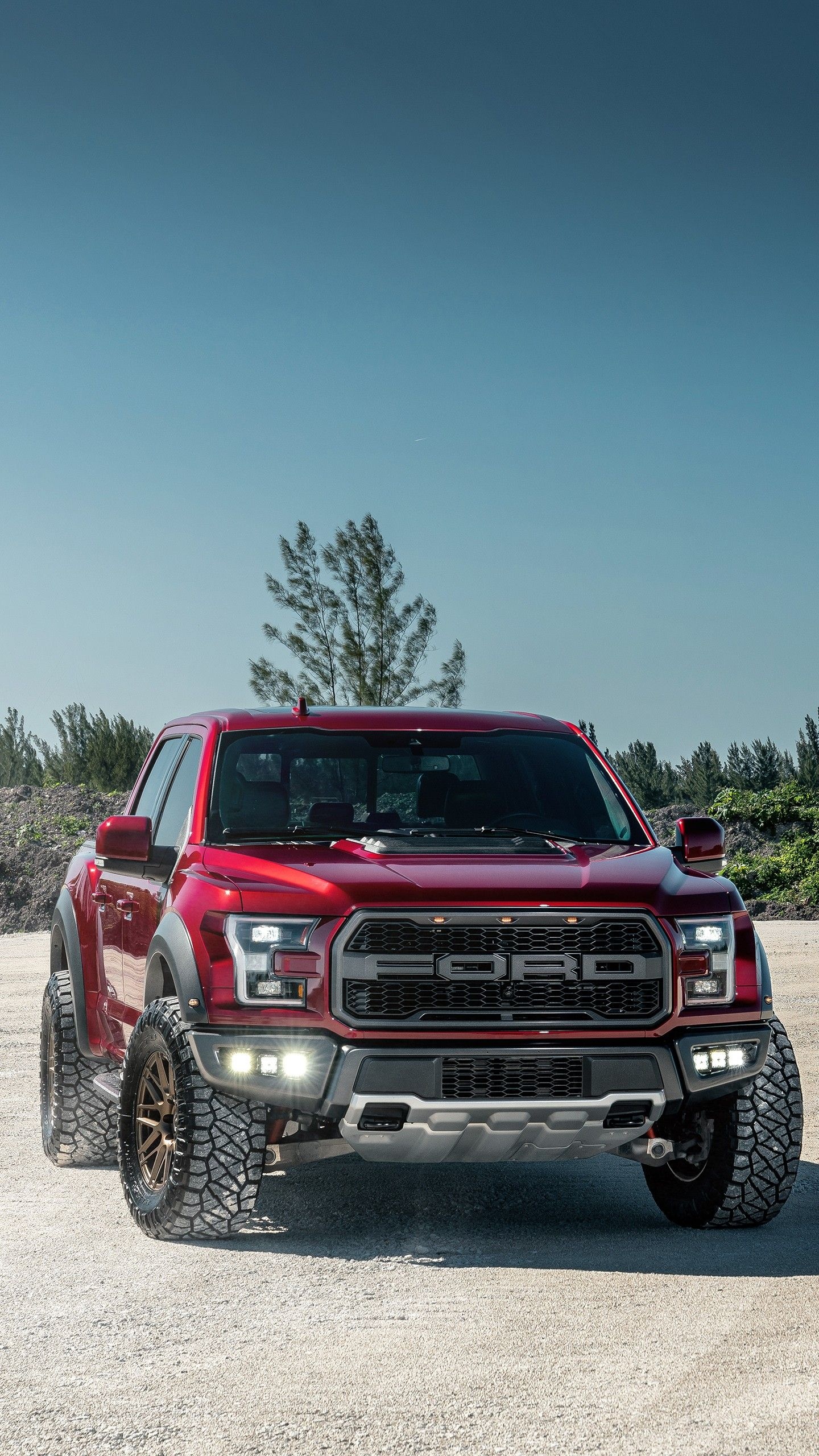 Ford Pickup, Auto, Ford Raptor Phone, Backgrounds, 1440x2560 HD Phone