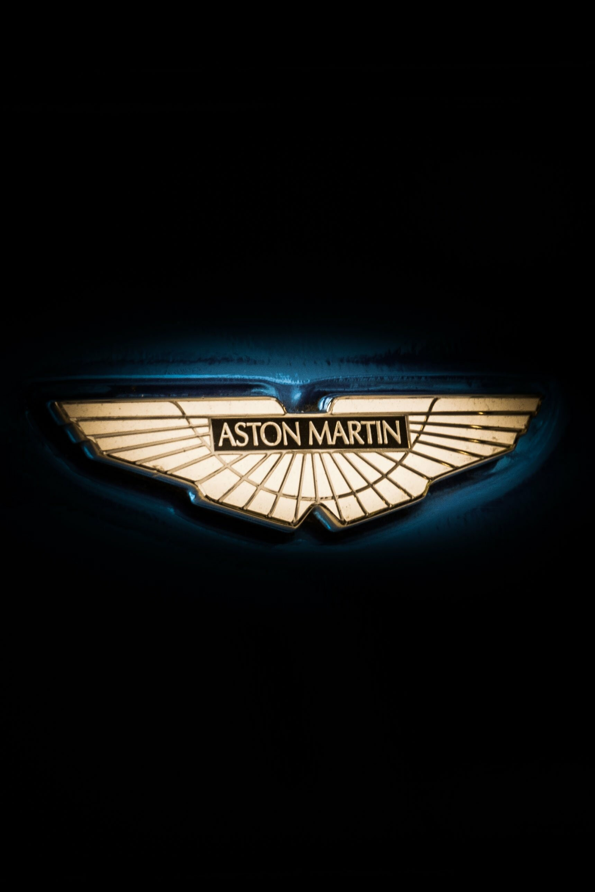 Logo, Aston Martin Wallpaper, 1920x2870 HD Phone