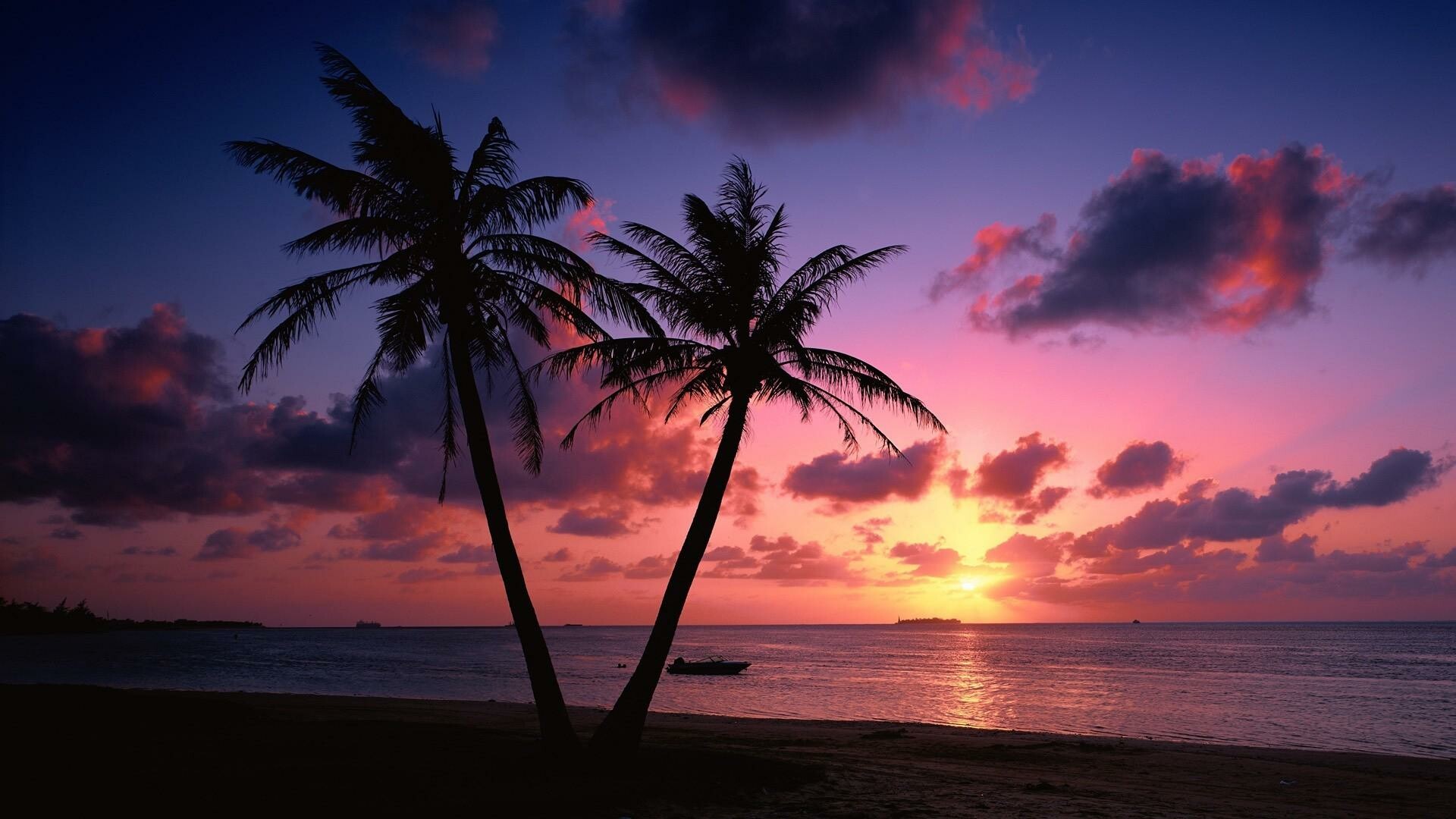 Palm tree sunsets, Tranquil beauty, Silhouette serenade, Tropical vibes, 1920x1080 Full HD Desktop