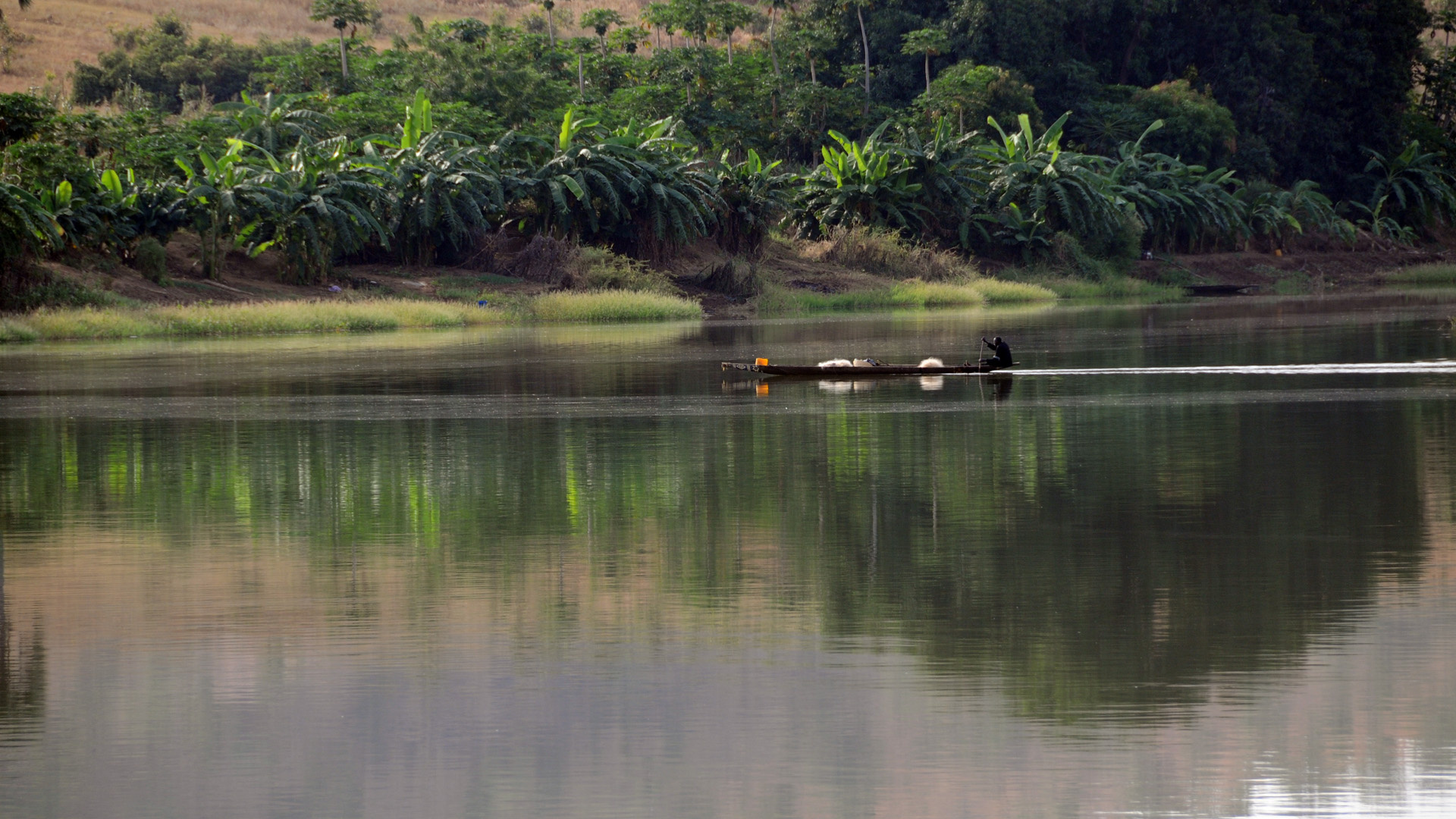 Sepik River, Wikimedia commons, 1920x1080 Full HD Desktop