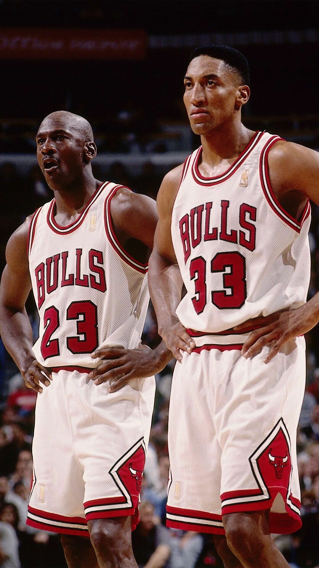 Scottie Pippen, Michael Jordan Wallpaper, 1080x1920 Full HD Phone