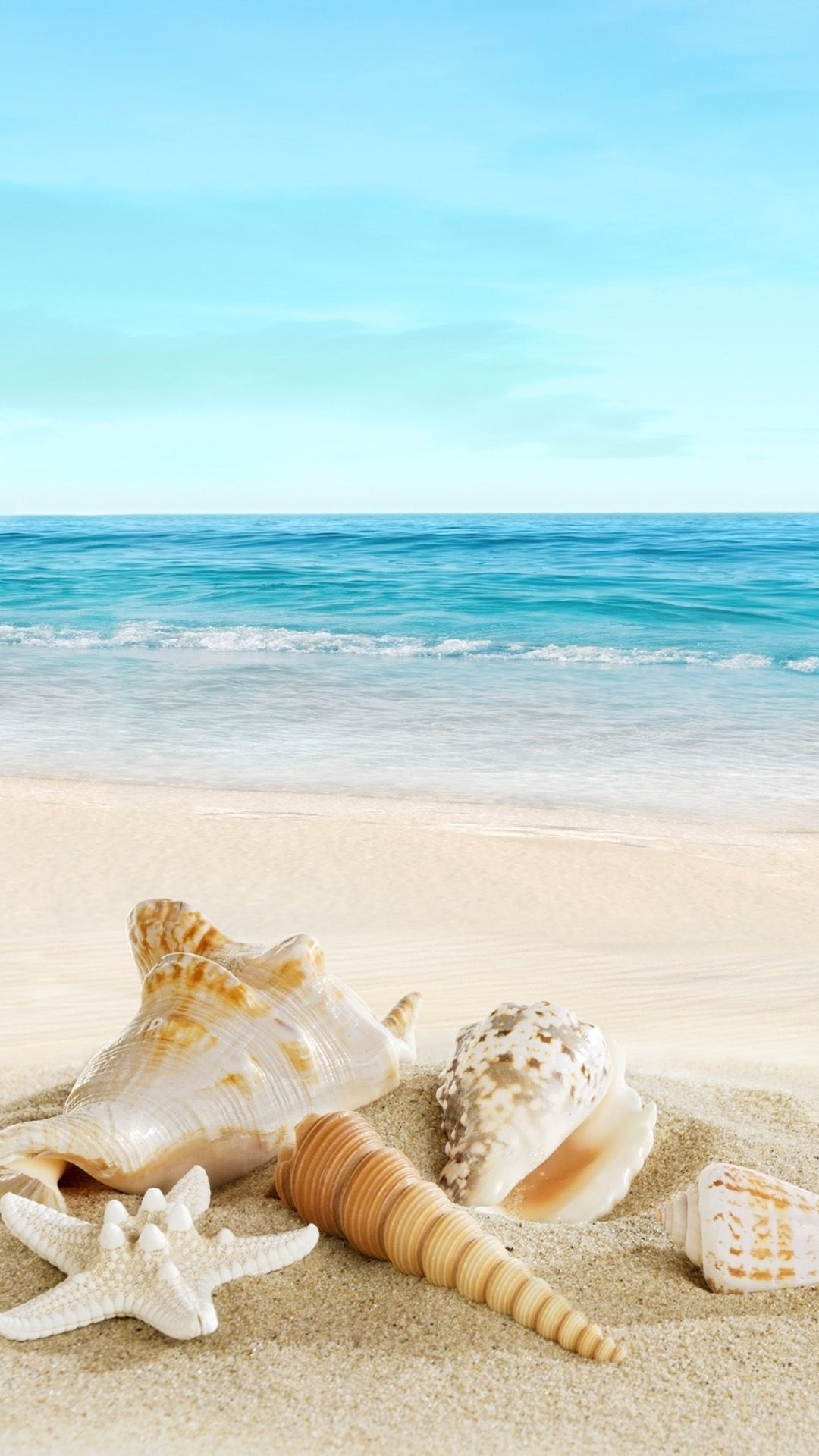 Nature Sunny Sea, Shell Beach, Iphone Wallpaper, Download, 1080x1920 Full HD Phone