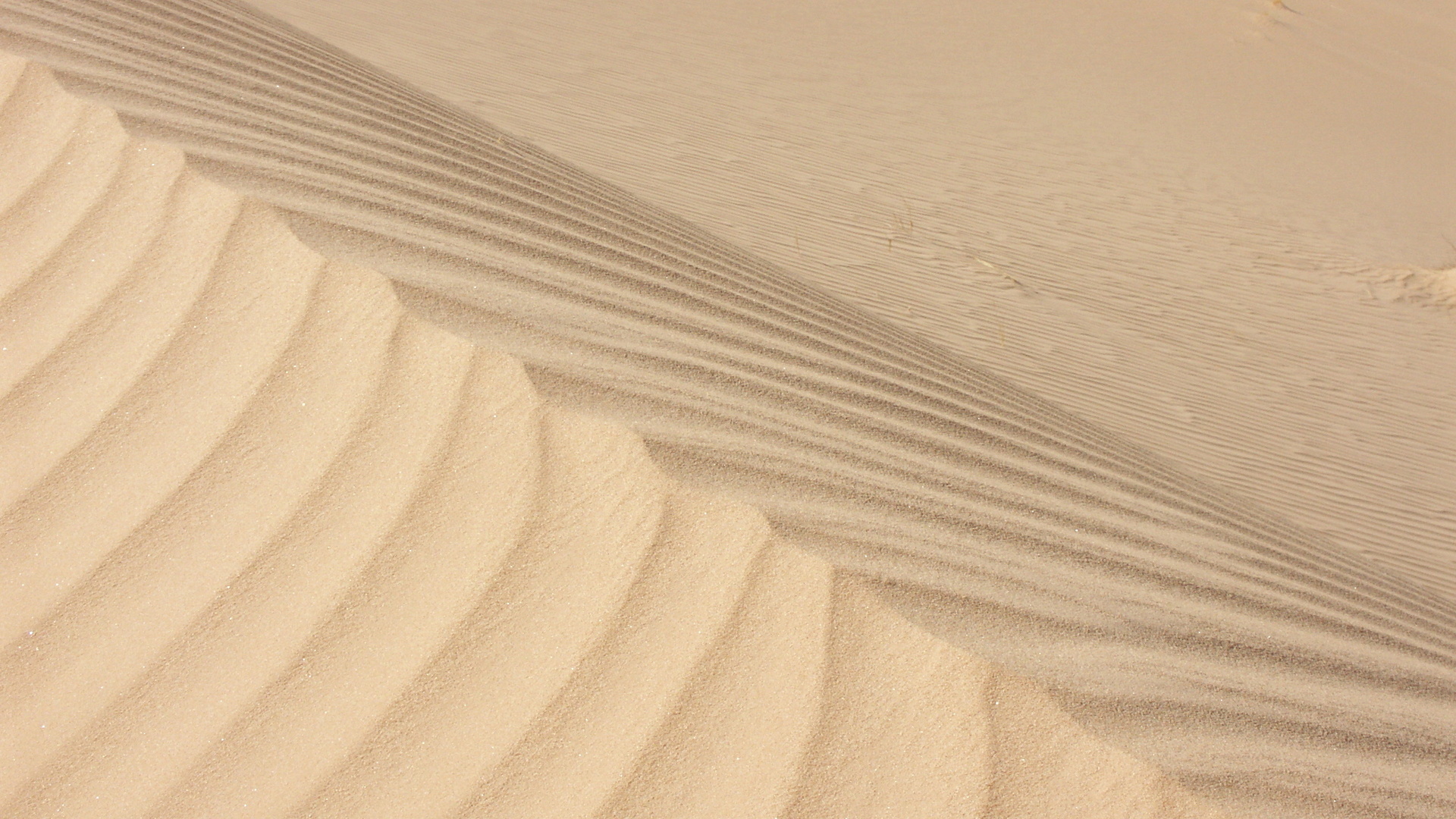 Sand dunes, Algeria Wallpaper, 1920x1080 Full HD Desktop