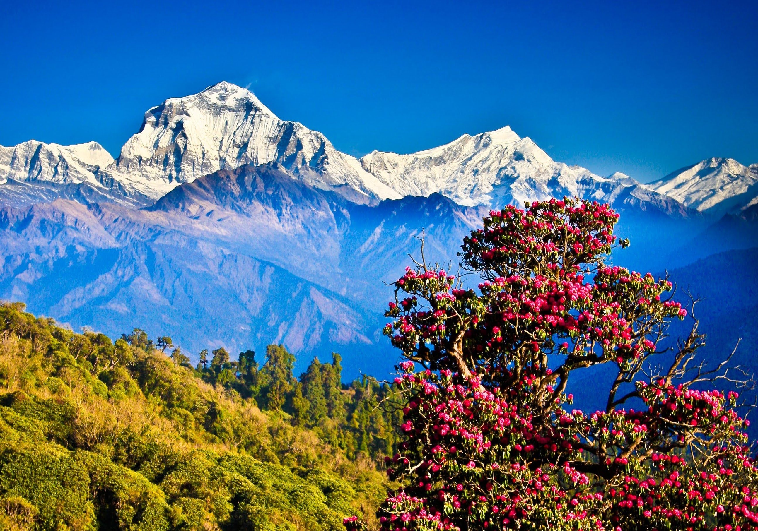 Dhaulagiri, Nepal Wallpaper, 2590x1820 HD Desktop