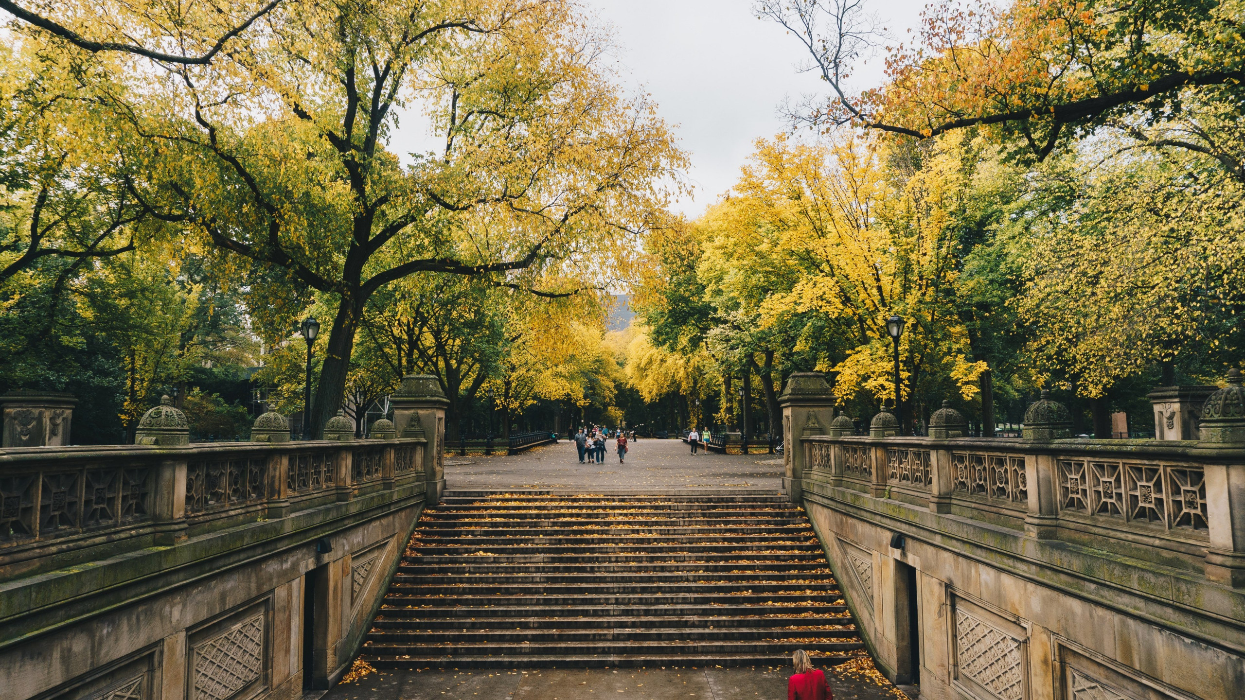 Central Park, HD wallpapers, Baltana, 2560x1440 HD Desktop