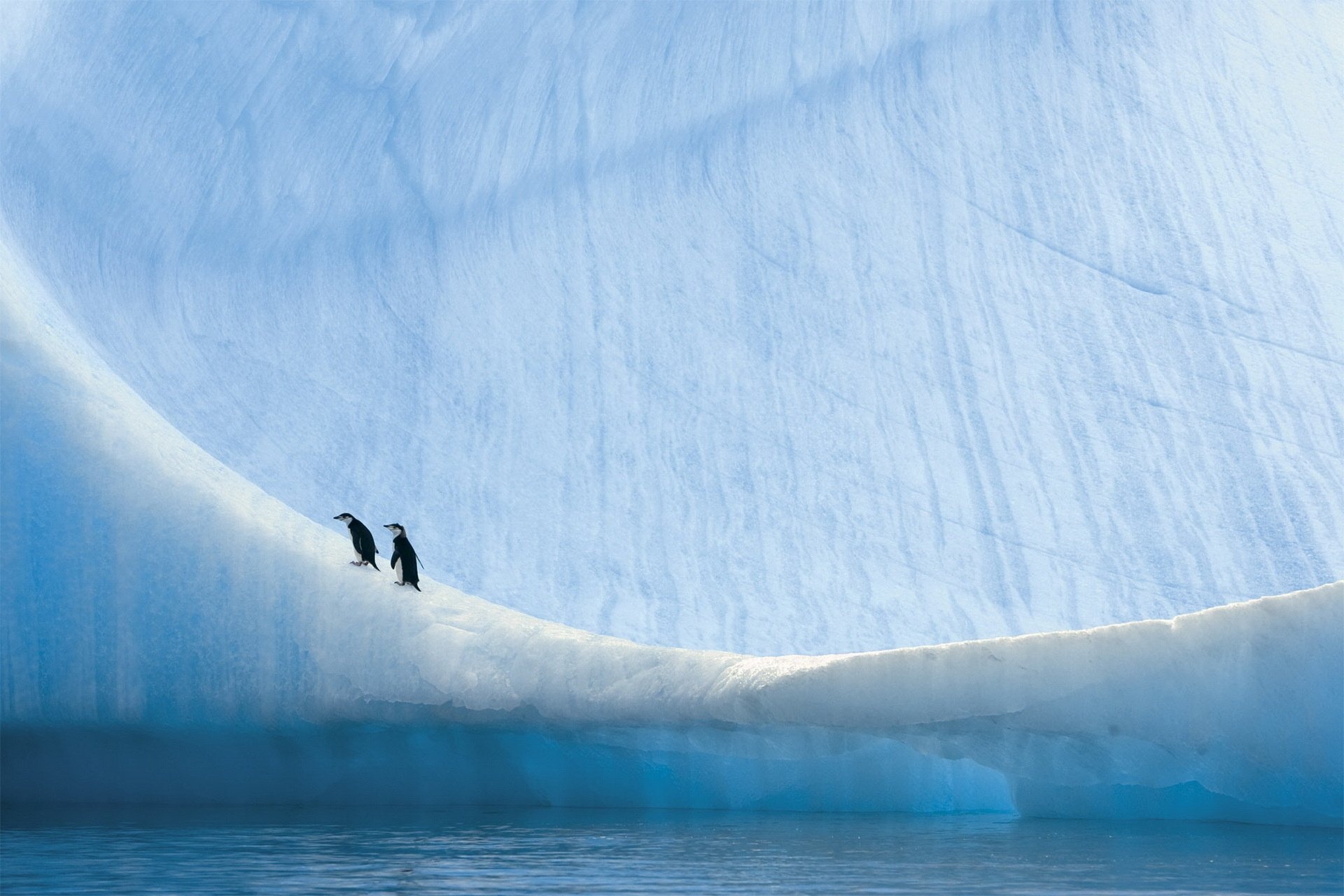 Antarctica wallpaper, Background image, 1920x1280 HD Desktop