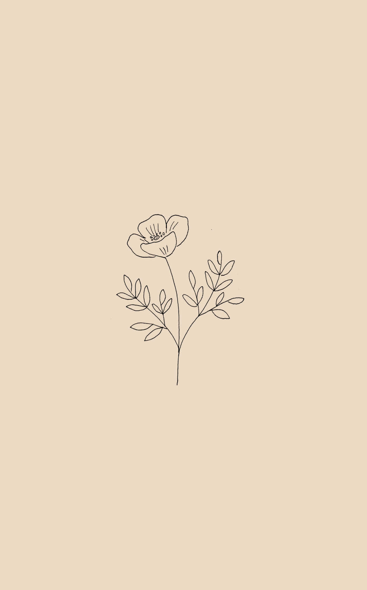 Flower, Simple Wallpaper, 1200x1920 HD Phone