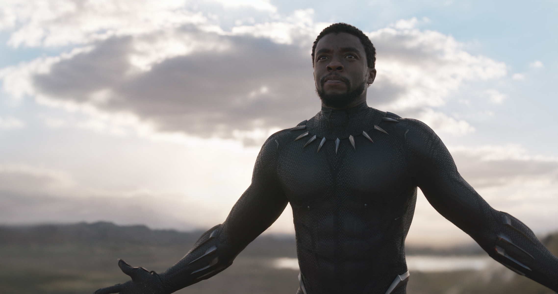 T'Challa, Movie character, Black Panther Returns, MFA exhibit, 2280x1200 HD Desktop