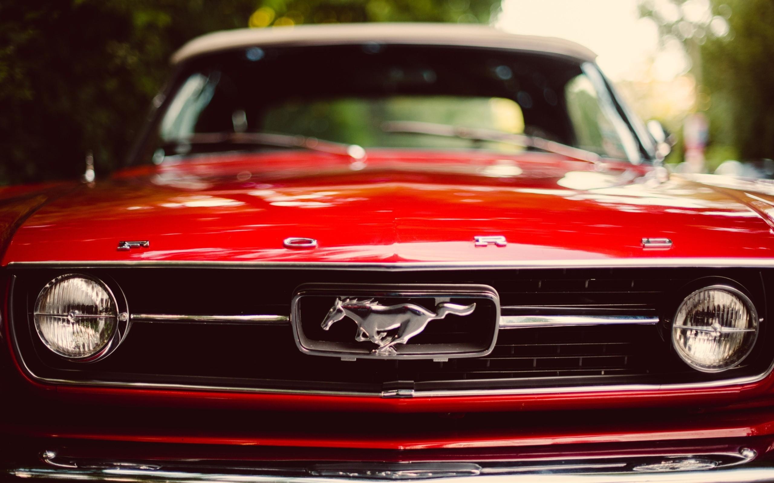 Logo, Mustang Wallpaper, 2560x1600 HD Desktop