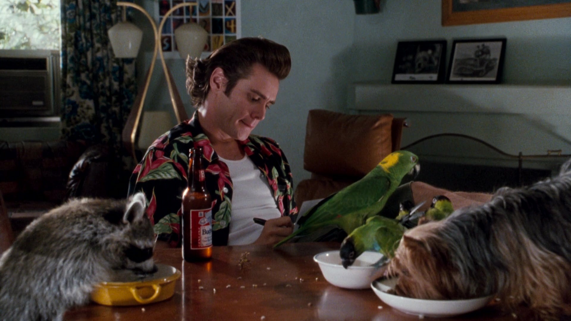 Jim Carrey, Ace Ventura, Budweiser beer, Movie prop, 1920x1080 Full HD Desktop