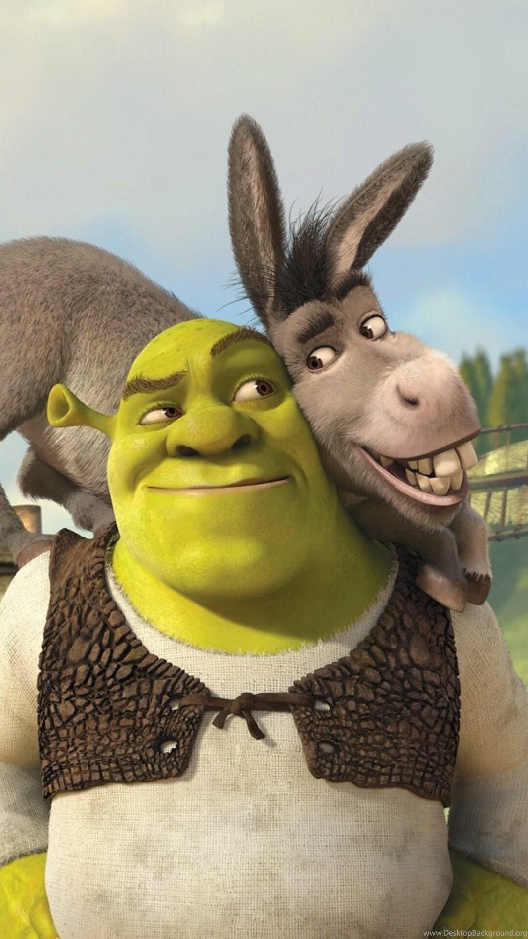 Donkey and Shrek, Dynamic duo, Comedic chemistry, Unforgettable friendship, 1080x1920 Full HD Phone