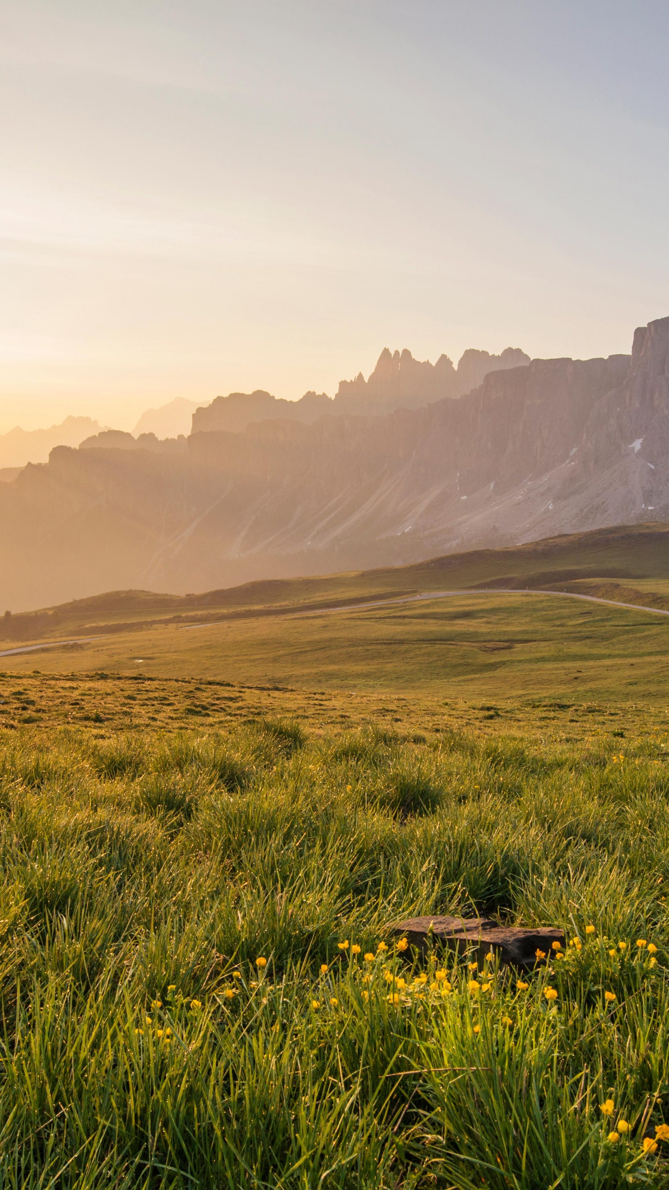 Grasslands at sunset, Wallpaper 7K UHD, Sunset 7K UHD, Grasslands at sunset, 2160x3840 4K Phone