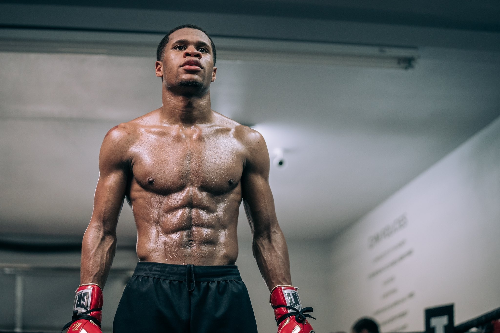 Devin Haney, Top pound for pound, 2050x1370 HD Desktop