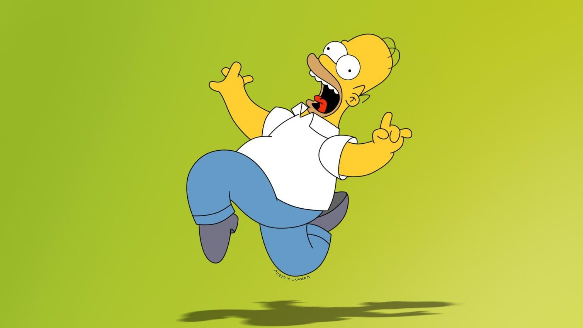 The Simpsons, Homer Simpson, Green background, Cartoon TV, 1920x1080 Full HD Desktop