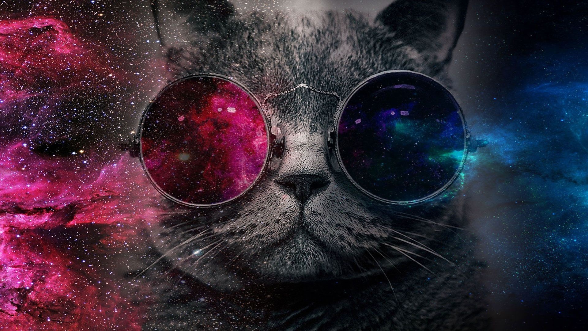 Galaxy Cat, Captivating wallpapers, Cosmic art, Stellar photos, 1920x1080 Full HD Desktop