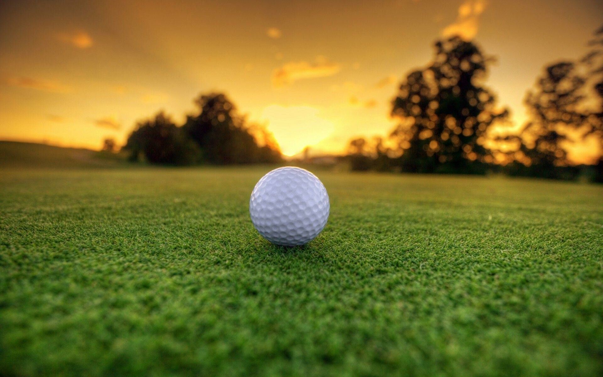 Free golf wallpapers, Golf, Sports, Green grass, 1920x1200 HD Desktop