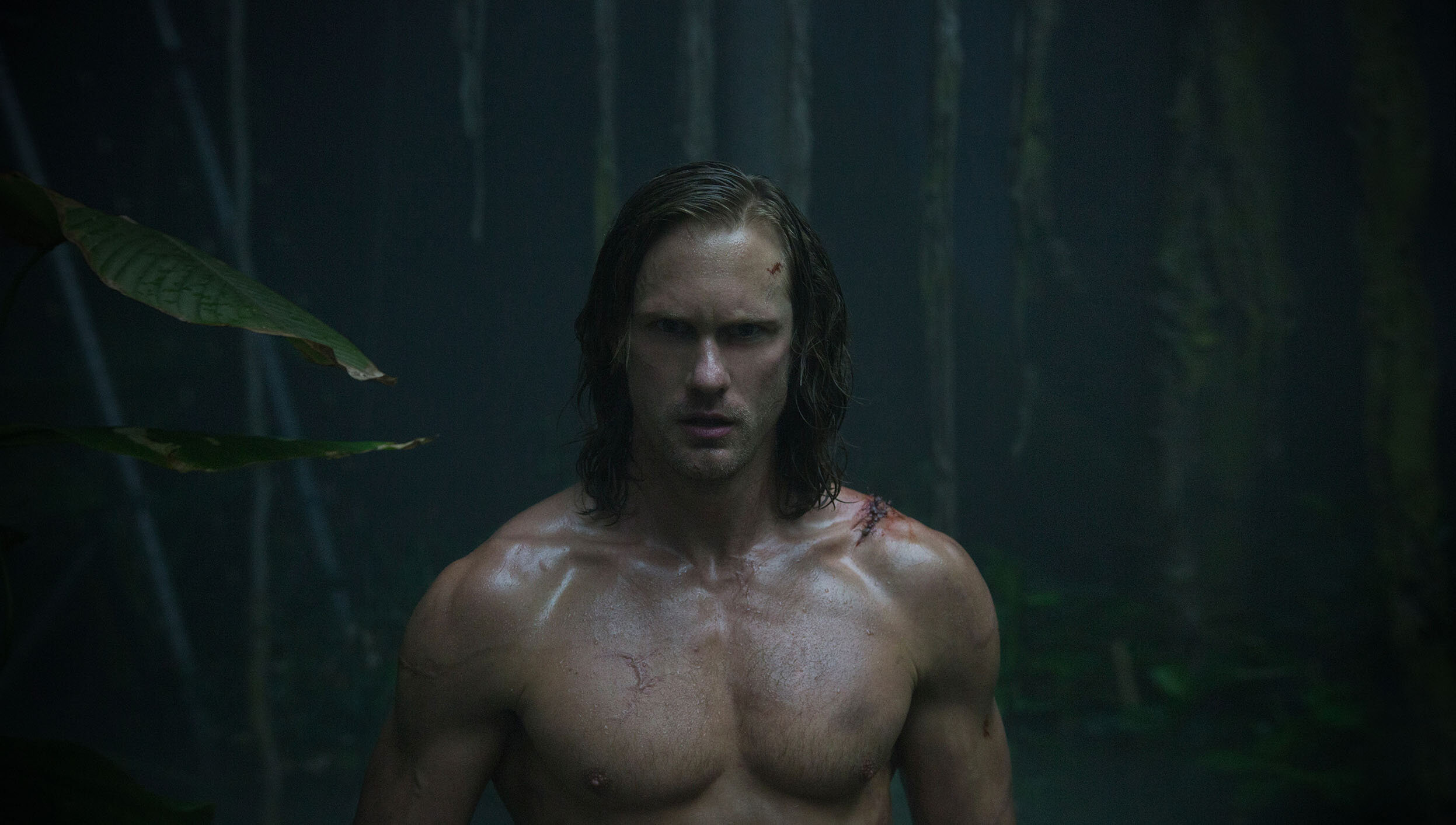 David Yates, Legend of Tarzan, Jonathan Olley photography, Cinematic adventure, 2500x1420 HD Desktop