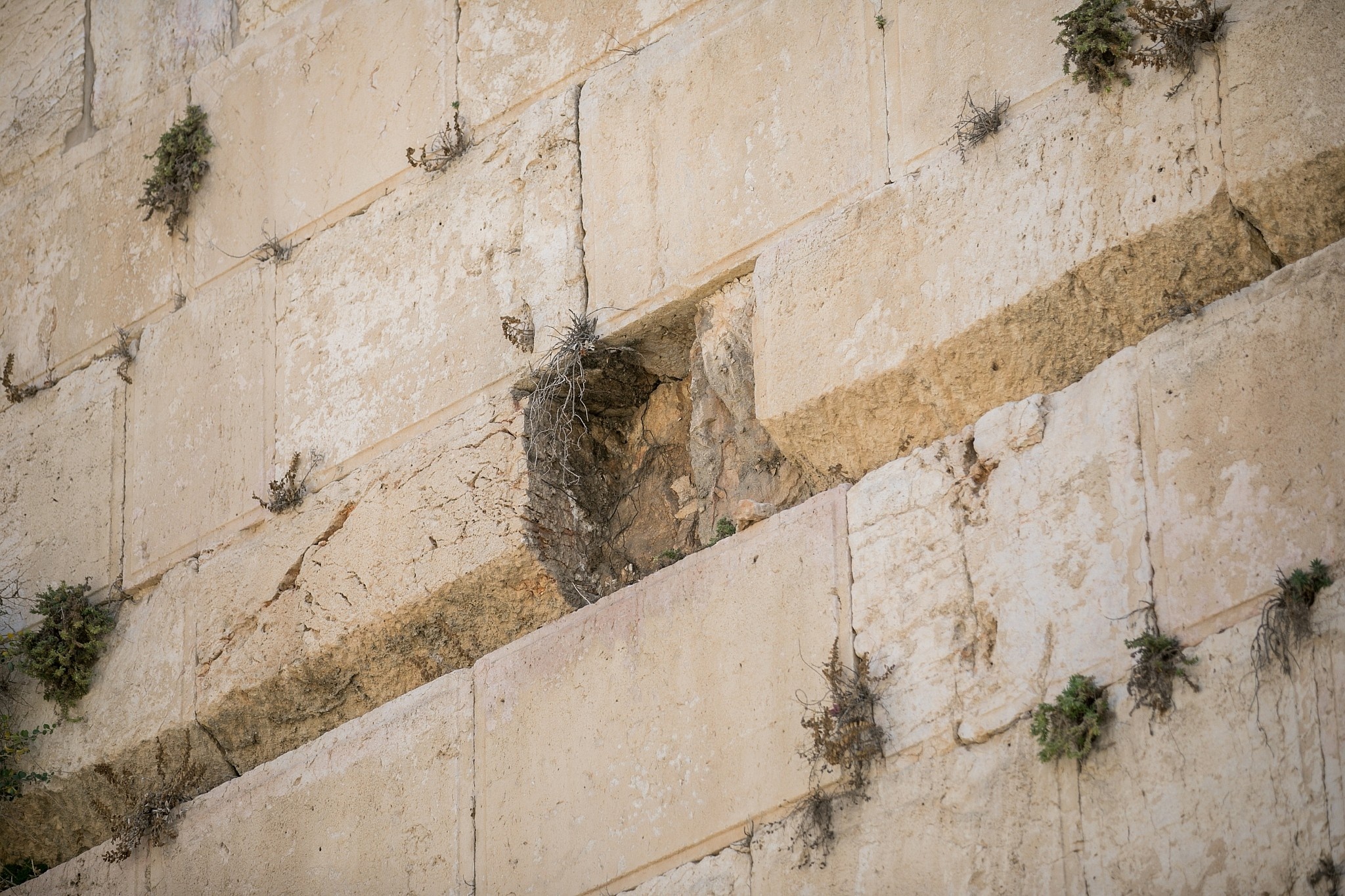 Close-up, The Western Wall (Jerusalem) Wallpaper, 2050x1370 HD Desktop