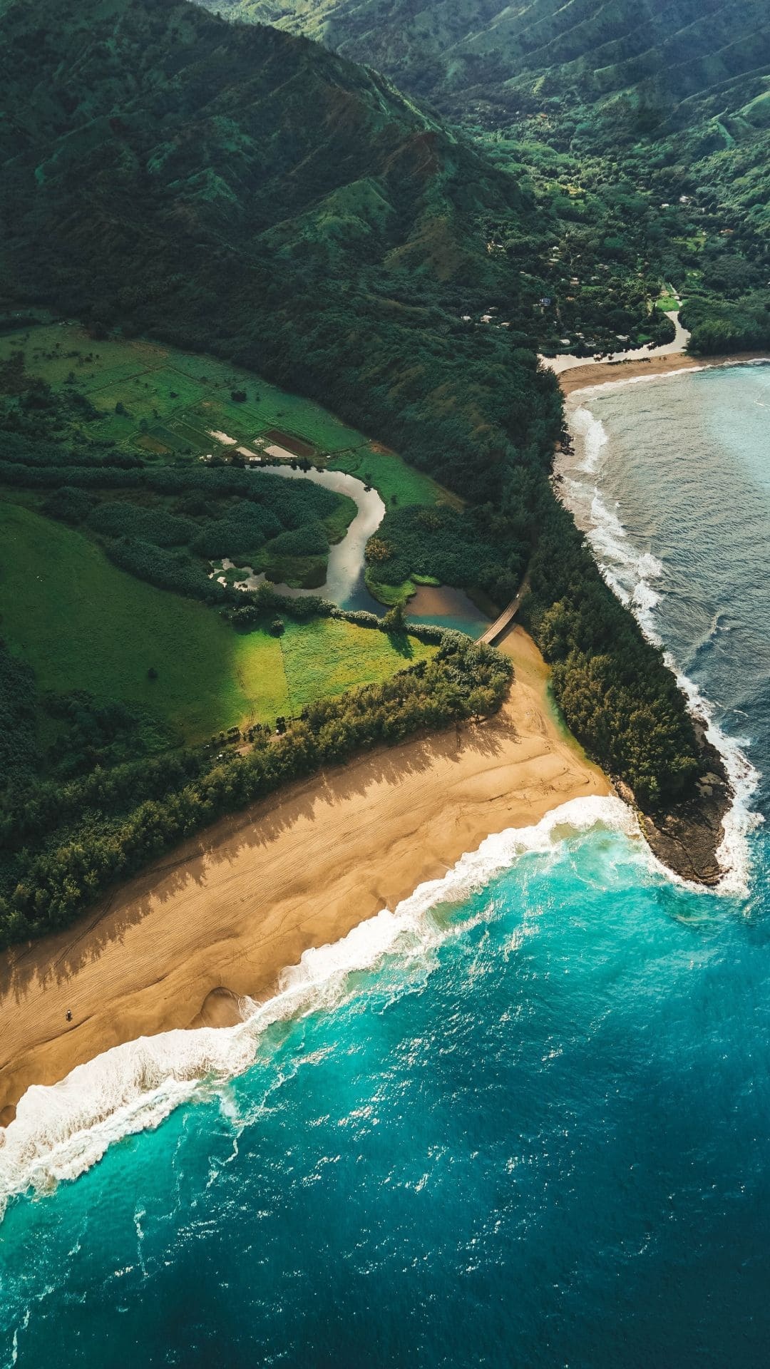 Hawaiian dreamscape, Tropical wonders, Turquoise waters, Palm tree oasis, 1080x1920 Full HD Phone