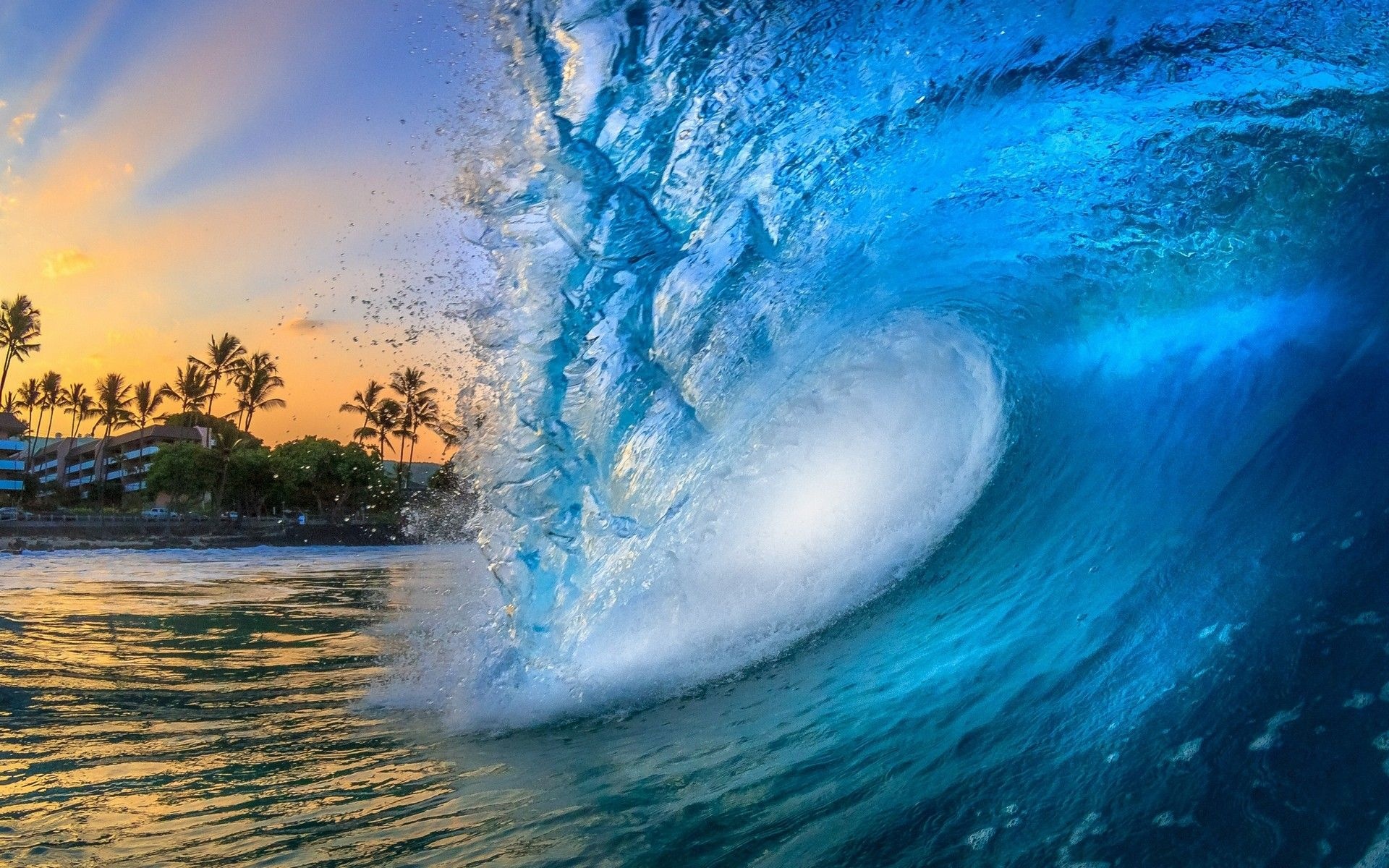 Hawaiian Ocean, Deus Vida, Palm Trees, 1920x1200 HD Desktop