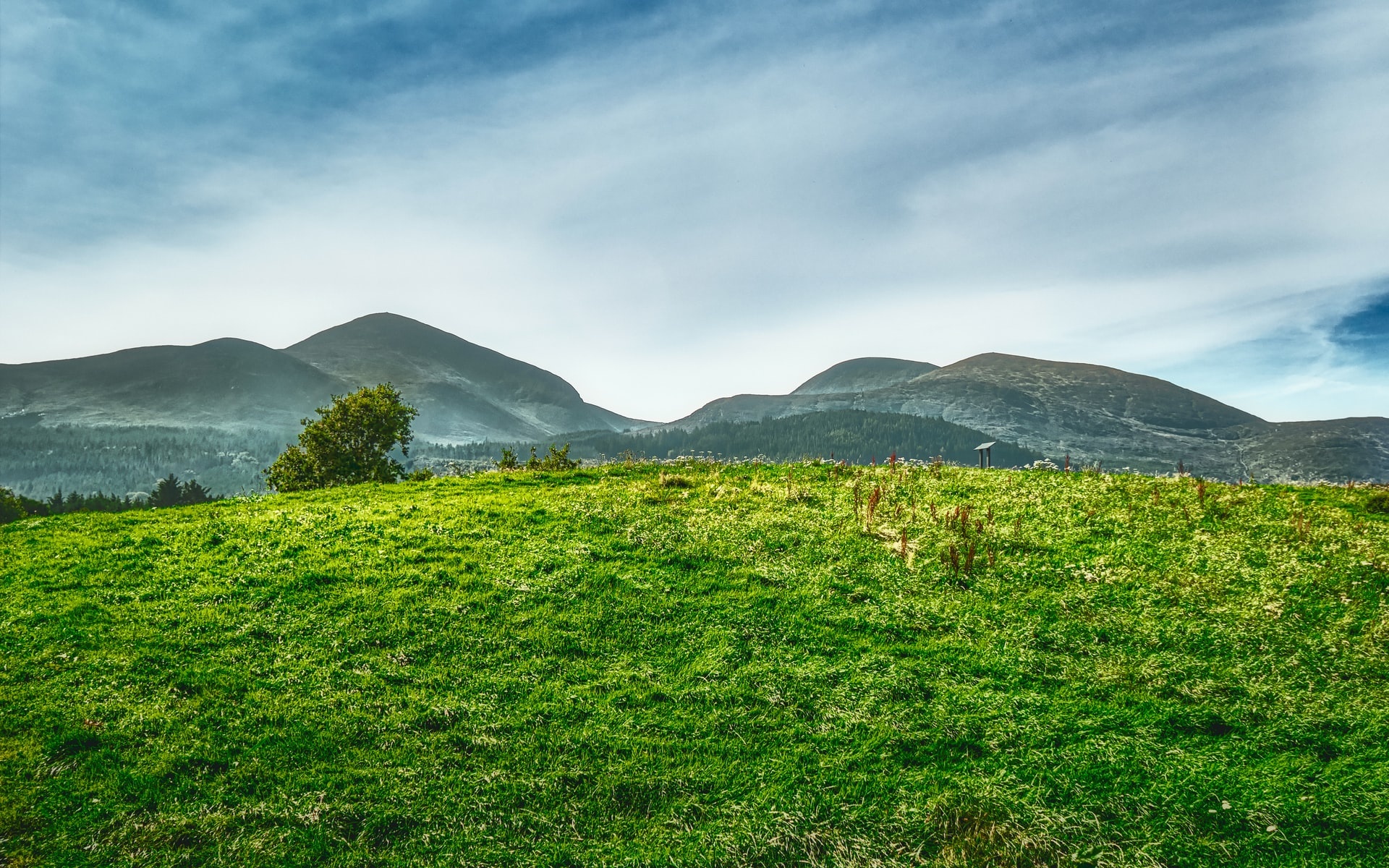 Irish Countryside, Poetic landscapes, Whimsical tales, Irish folklore, 1920x1200 HD Desktop