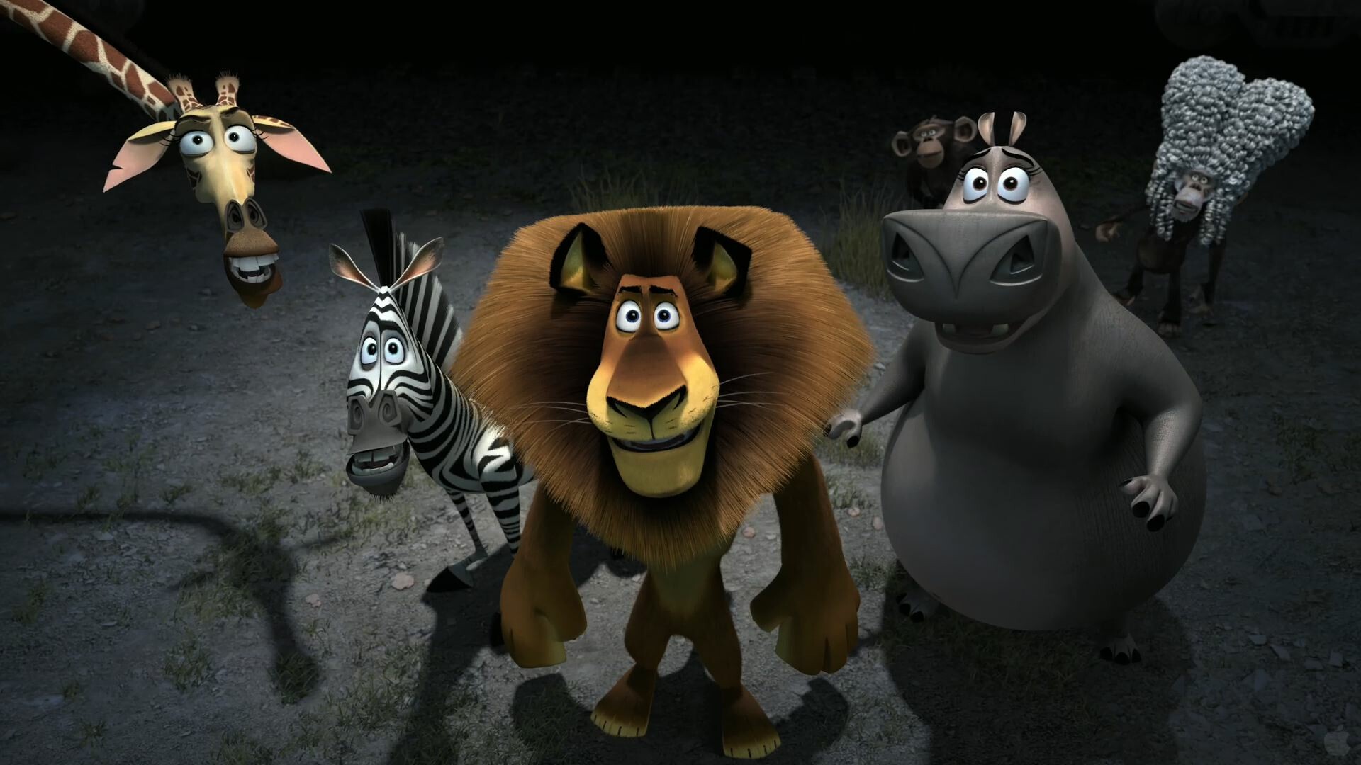 Madagascar movie, Animals, Europes most wanted, 1920x1080 Full HD Desktop