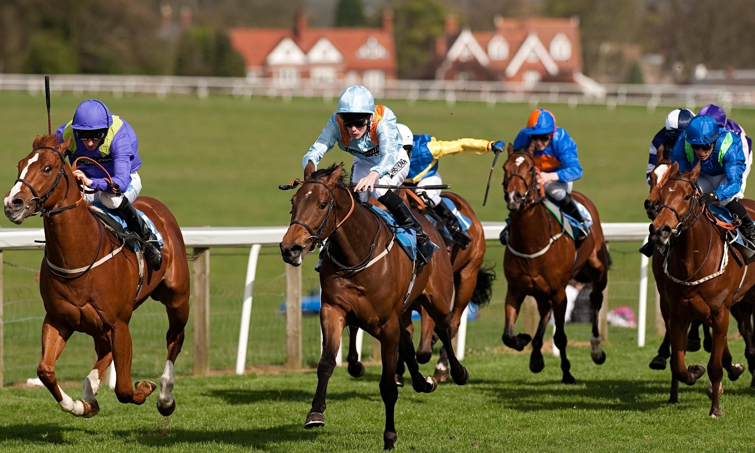 Horse racing wallpapers, Exciting moments, Speed and adrenaline, Thrilling races, 2560x1540 HD Desktop