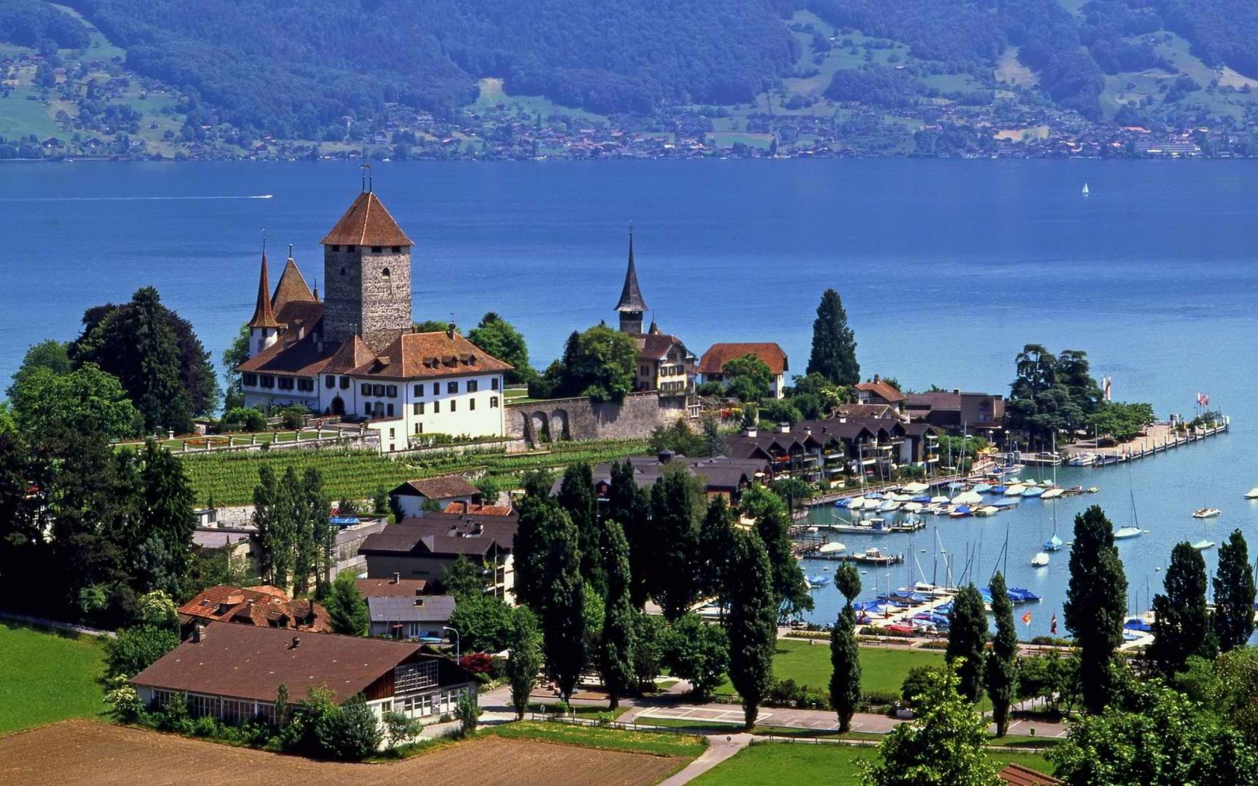 Lake Thun, Switzerland Wallpaper, 2560x1600 HD Desktop