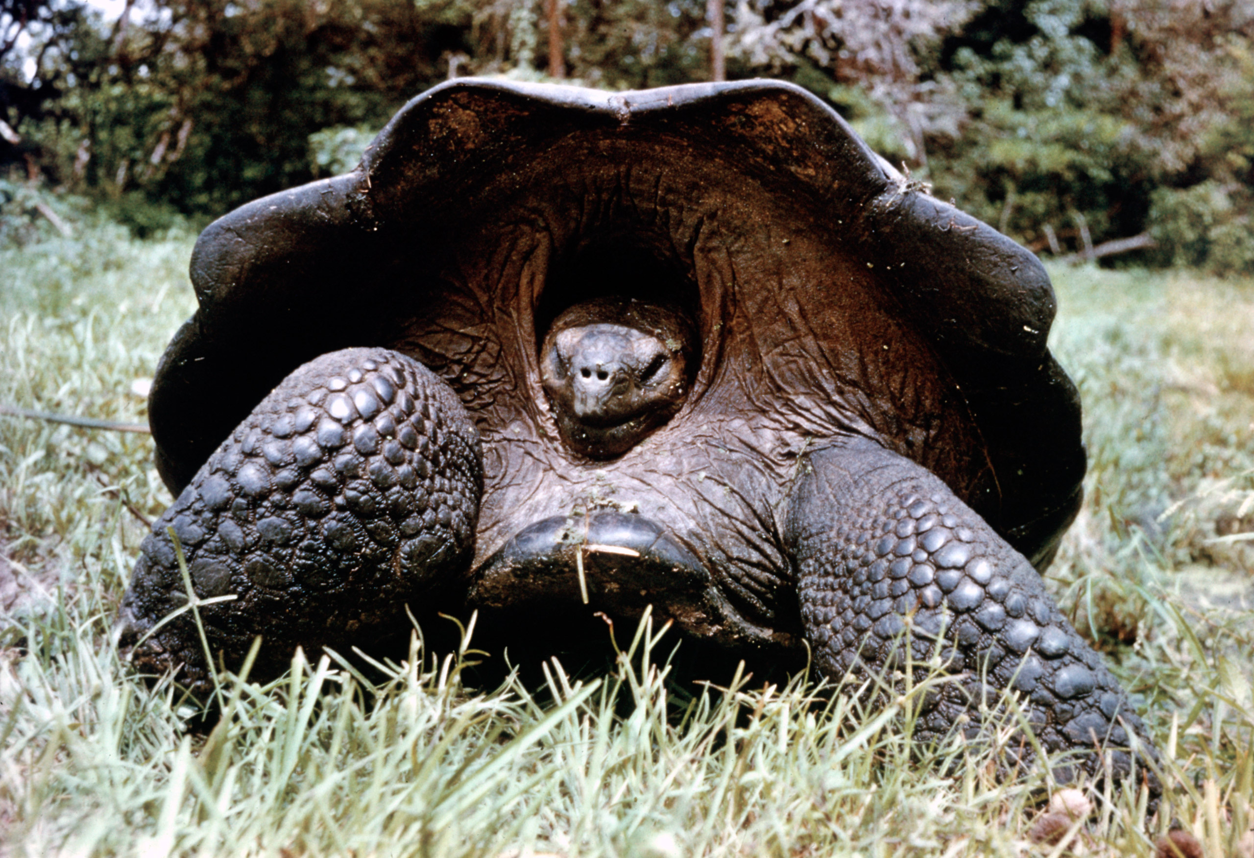 Galapagos Islands, Darwin's voyage, Breathtaking photos, Anniversary celebration, 2560x1760 HD Desktop