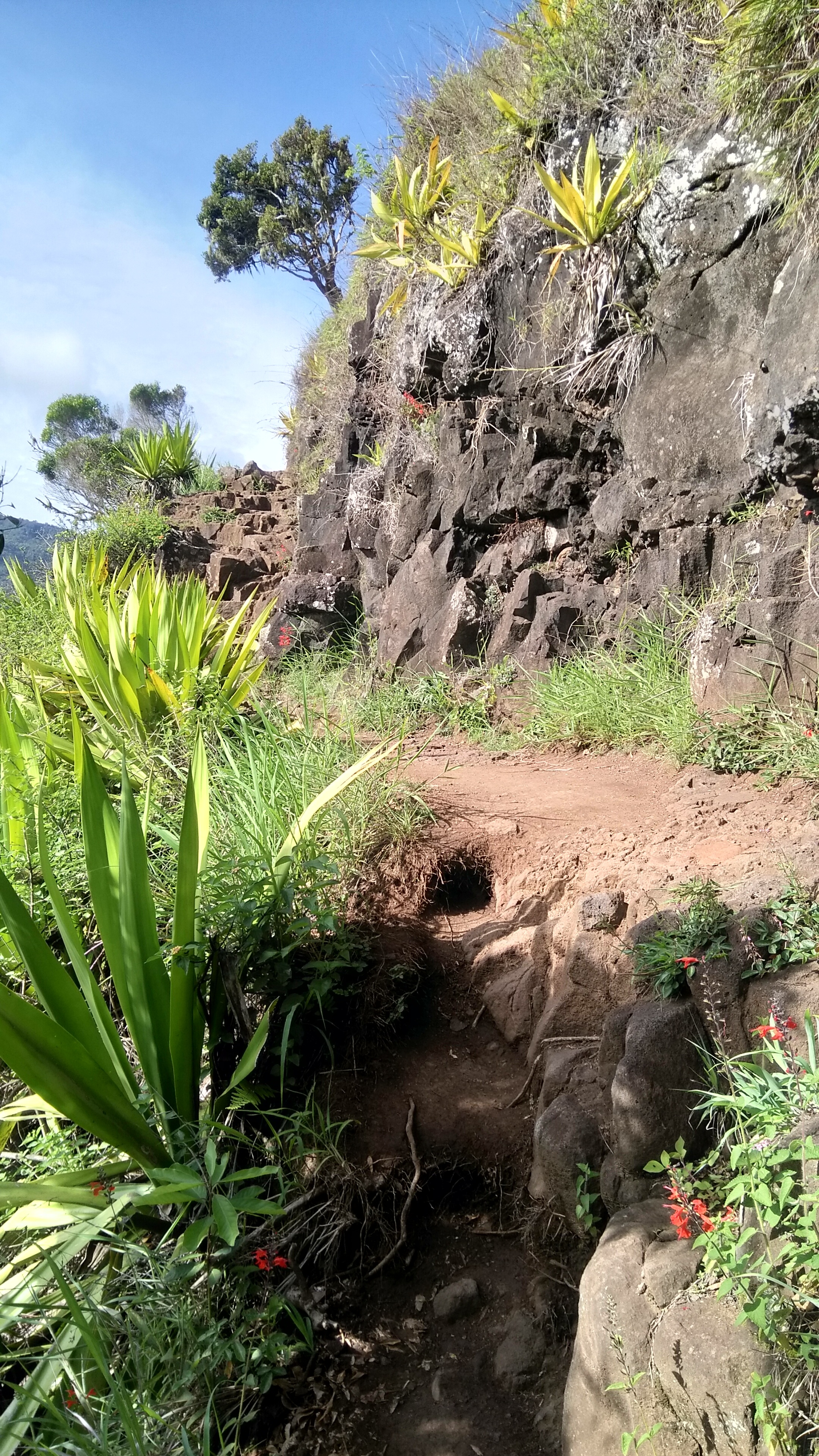 Reunion Island, Randonne au cap noir, Roche verre bouteille, Ocean adventures, 2160x3840 4K Phone