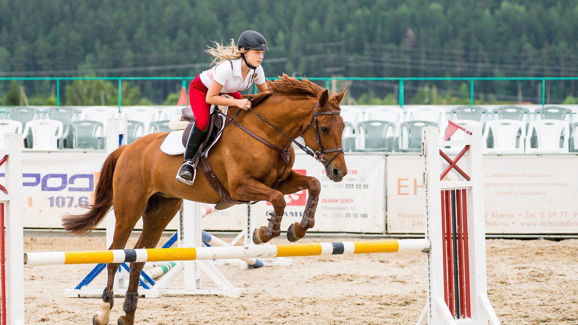 Equestrian wallpaper, Beautiful images, Horse lovers, Captivating visuals, 1920x1080 Full HD Desktop