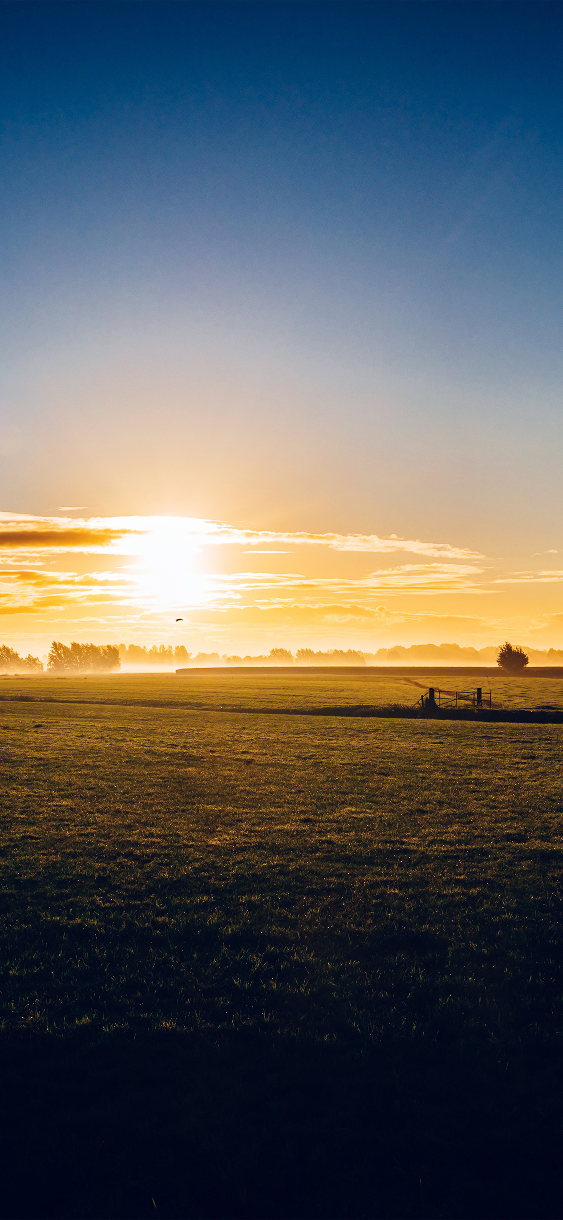 Sunny morning farm, Peaceful nature, 1130x2440 HD Phone