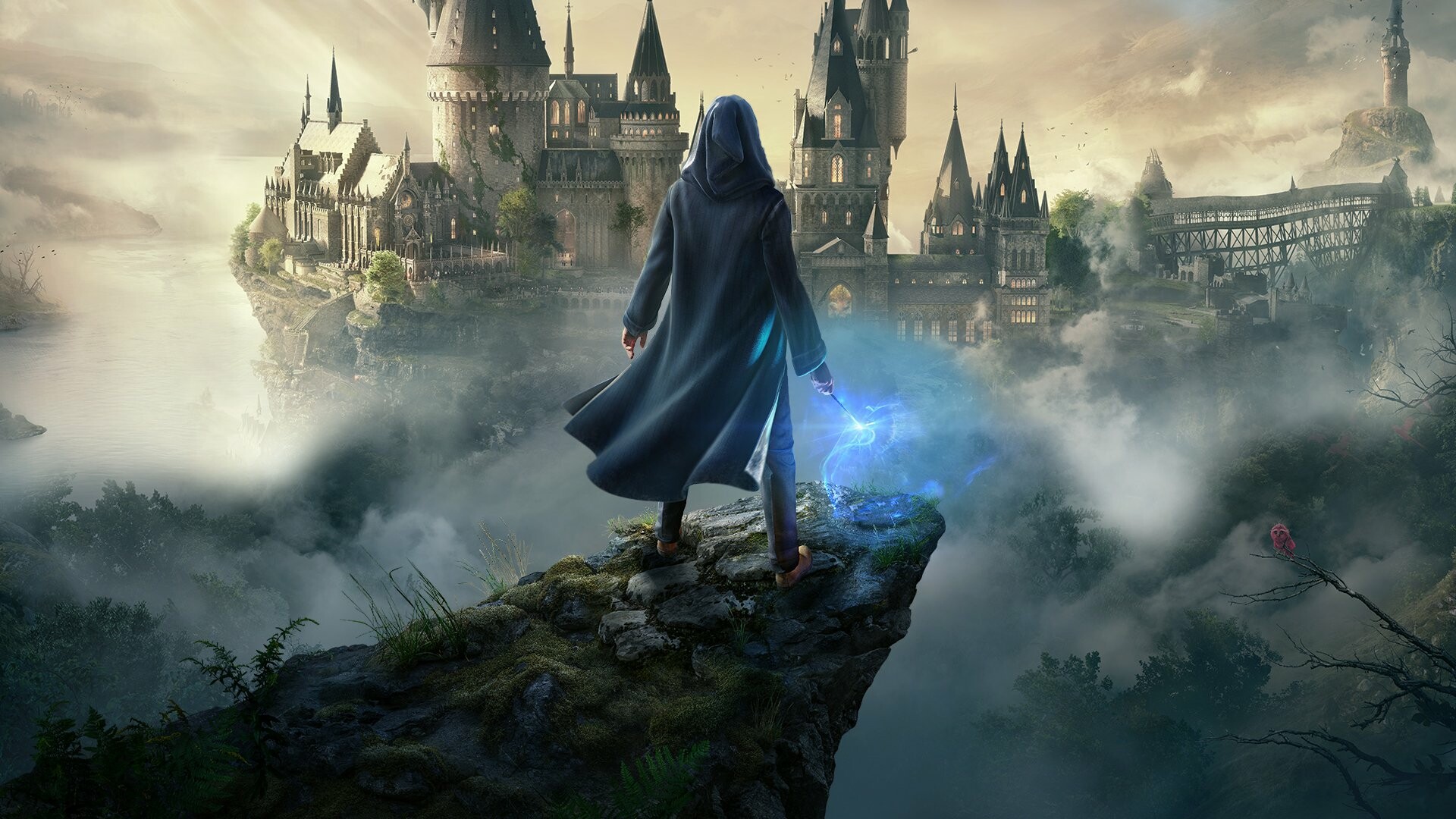 Hogwarts Legacy, Gaming, PM Sthnut, Windows, 1920x1080 Full HD Desktop