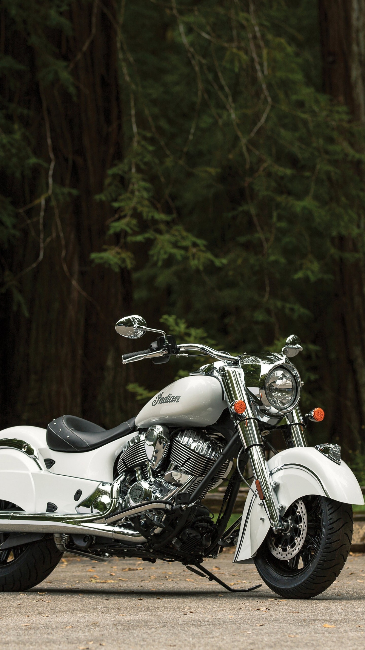 Indian (Bike), Indian shief classsic, White cars & bikes, 1440x2560 HD Phone