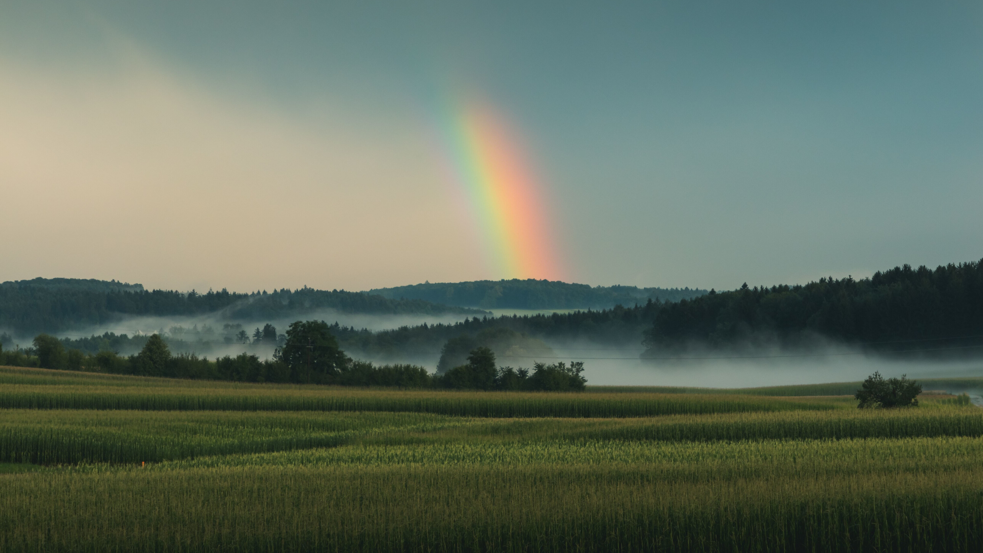 Grassland, Rainbow Colors Wallpaper, 3840x2160 4K Desktop