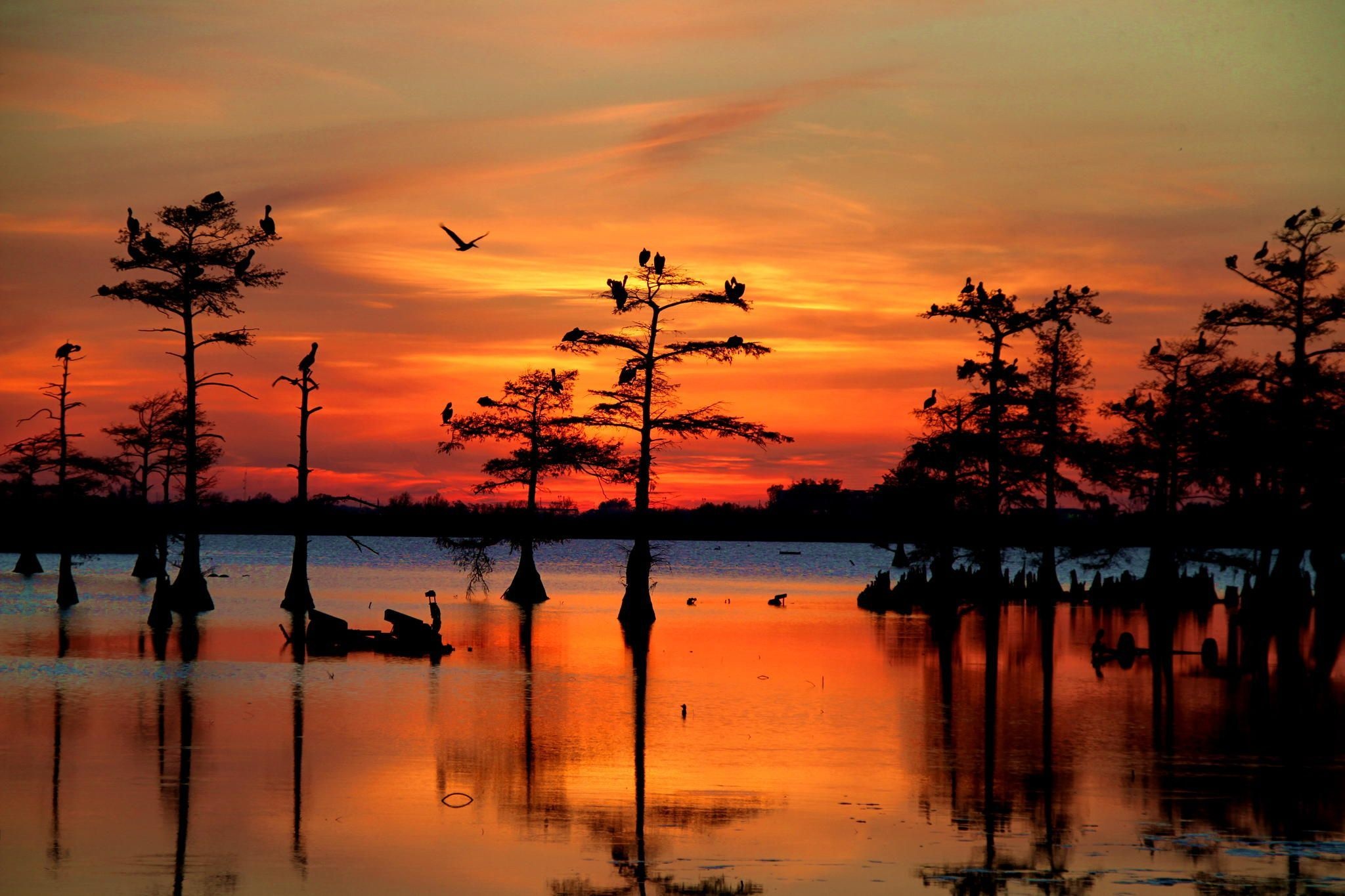 Bayou Sunset, 4K HD, Backgrounds, 2050x1370 HD Desktop