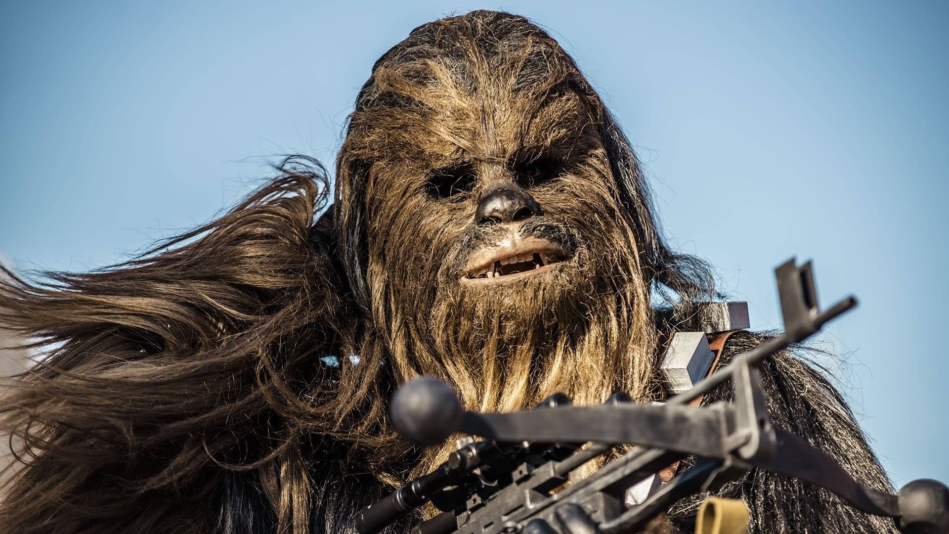 Chewie, Chewbacca Wallpapers, Top Free, 1920x1080 Full HD Desktop