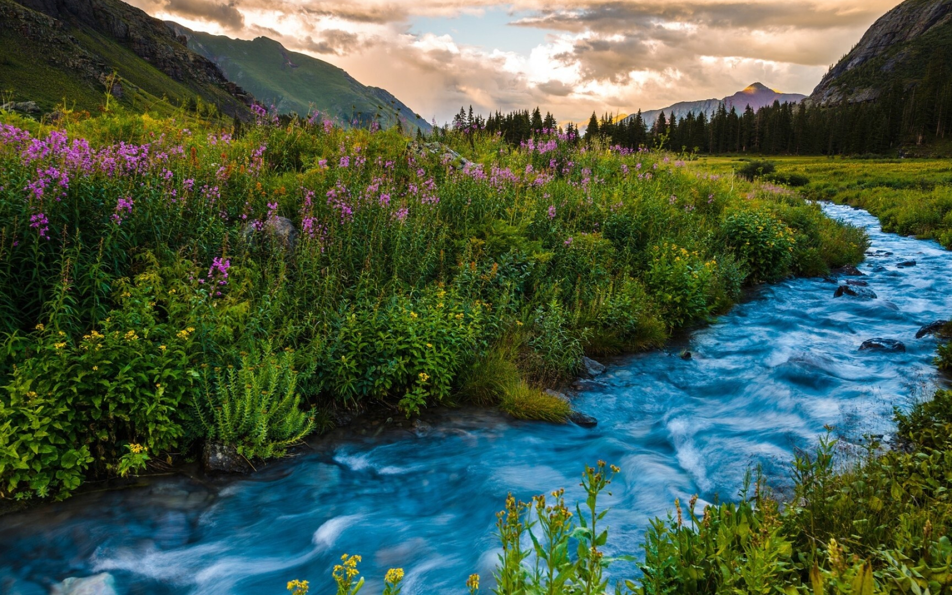 Sun-soaked rivers, Summer flows, Nature's waterways, Scenic views, 1920x1200 HD Desktop