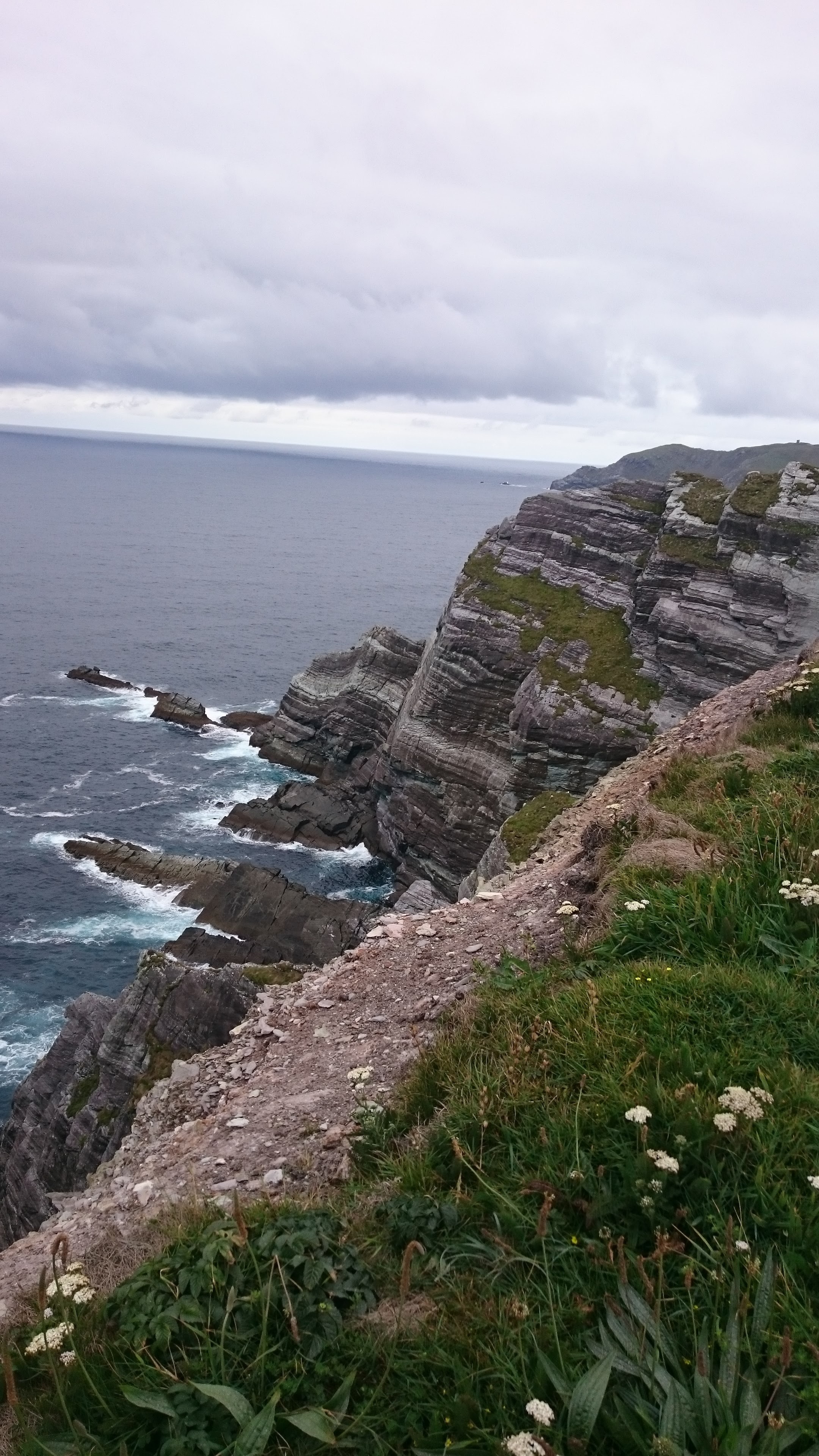 Skellig View, Bluebell rose, Kerry cliffs, Guest suites, 2160x3840 4K Phone