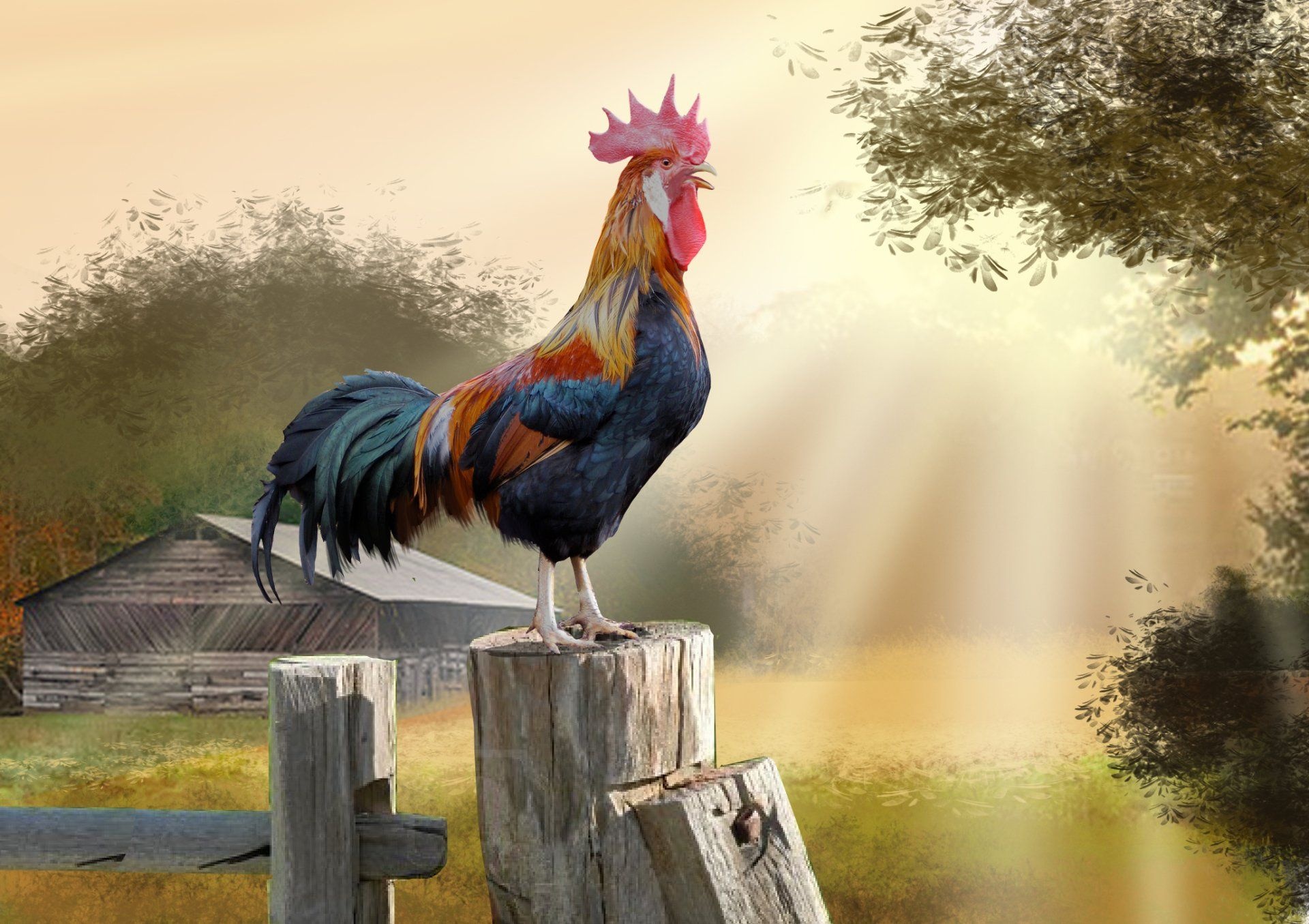 Rooster beauty, Vibrant wallpapers, Majestic birds, Striking colors, 1920x1360 HD Desktop