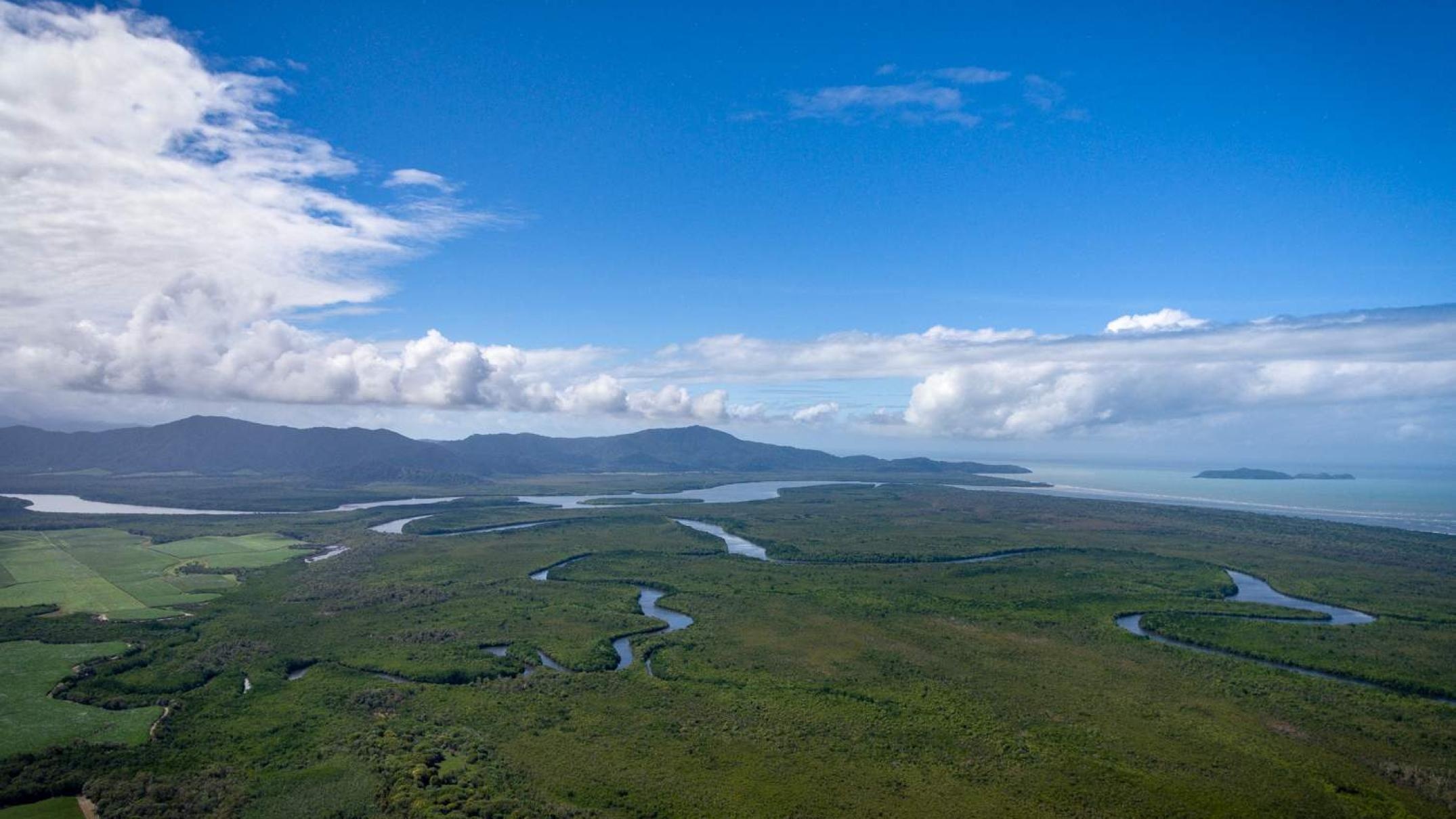 The Daintree River, Growing a Rainforest, ABC News, Australian Broadcasting Corporation, 2150x1210 HD Desktop