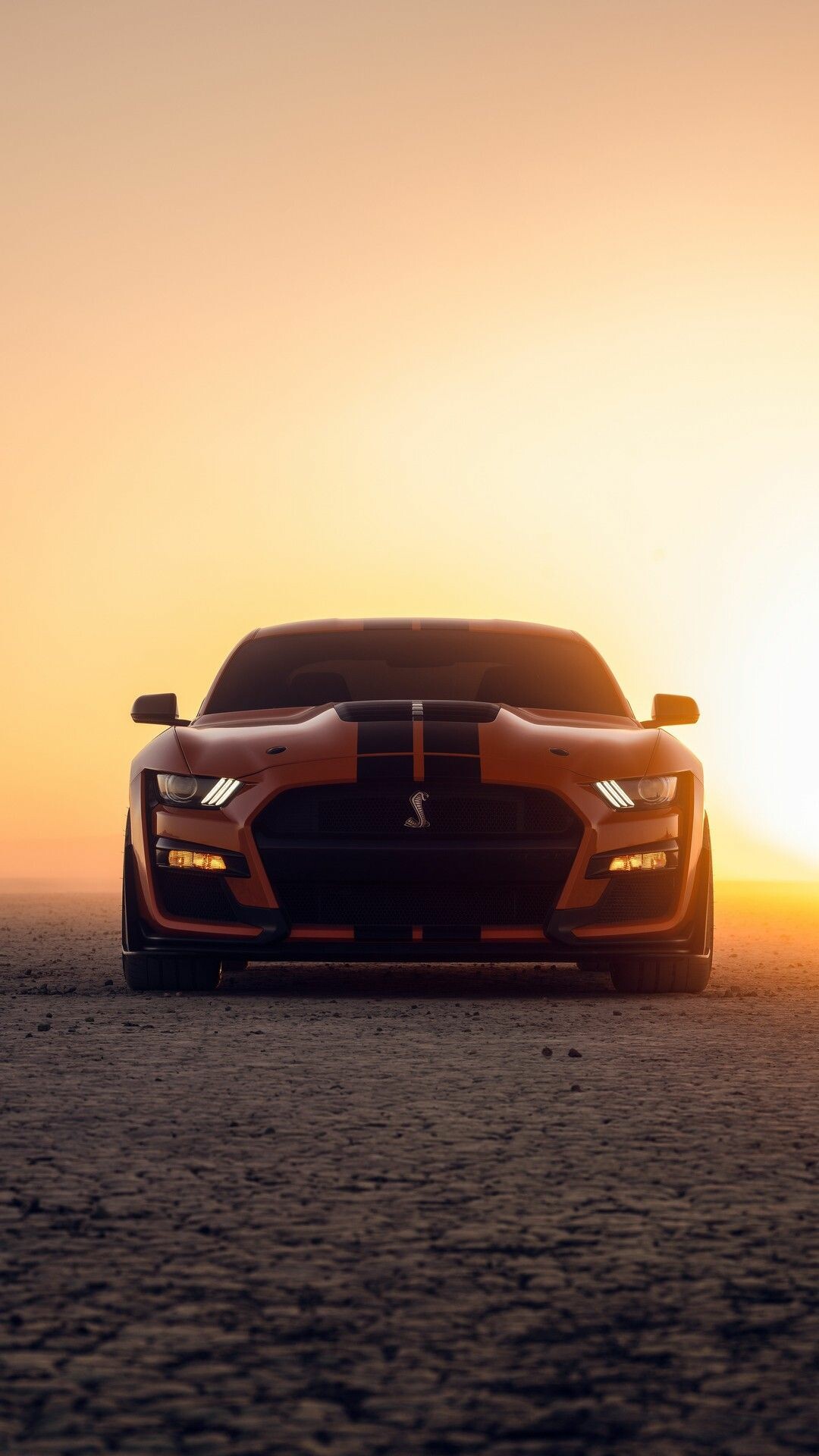 Cars, Full HD wallpapers, Dream cars, Audi Mustang Shelby, 1080x1920 Full HD Phone