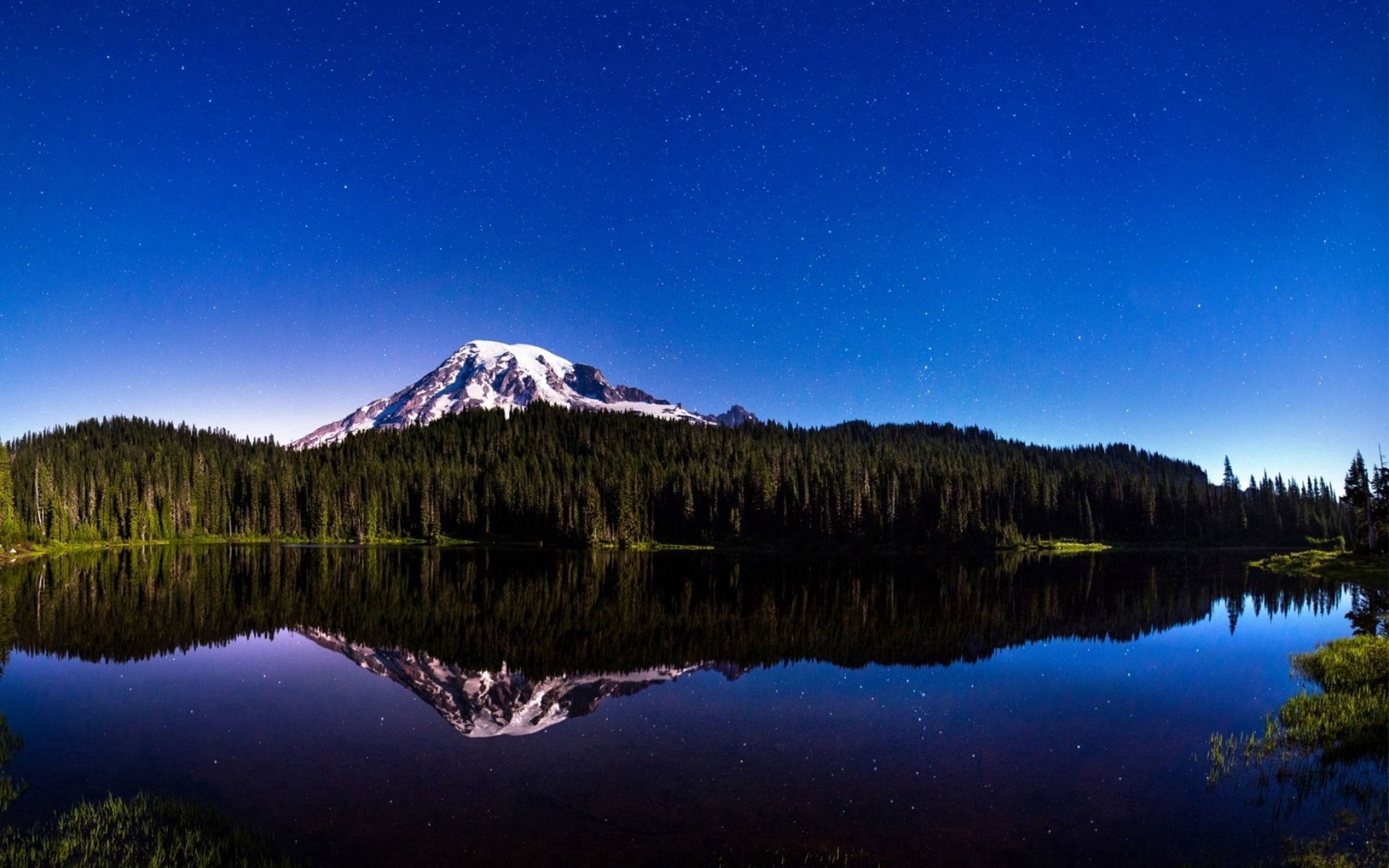 Mount Rainier National Park, Mobile Wallpaper, Summer Flowers, Free Download, 2560x1600 HD Desktop