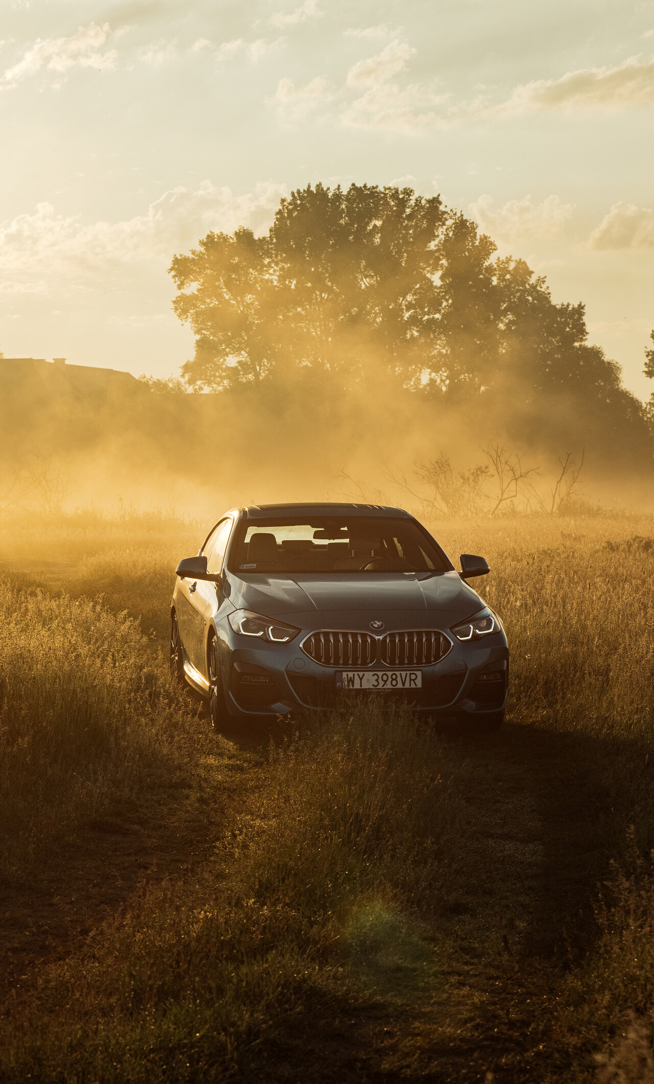 220i Gran Coupe, BMW 2 Series Wallpaper, 1280x2120 HD Phone