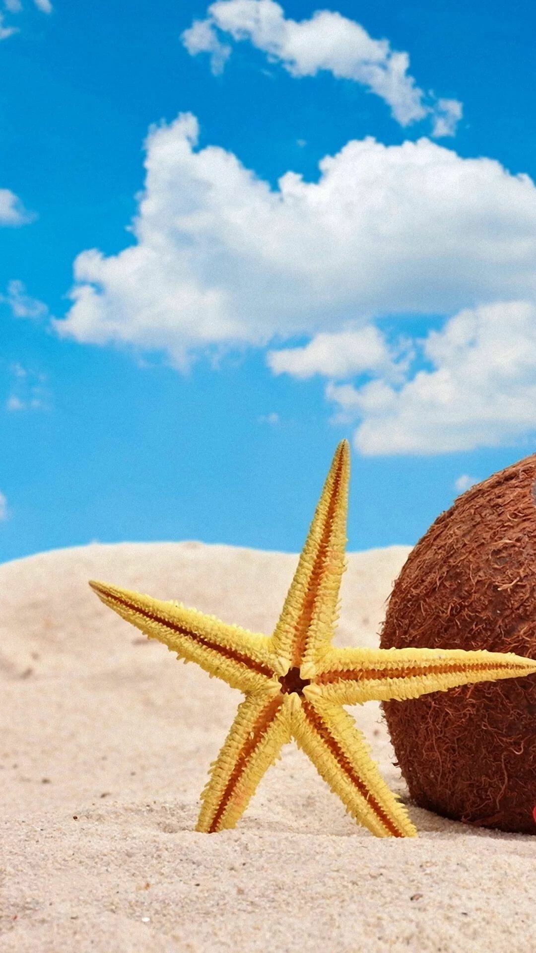 Coconut, Starfish Wallpaper, 1080x1920 Full HD Phone