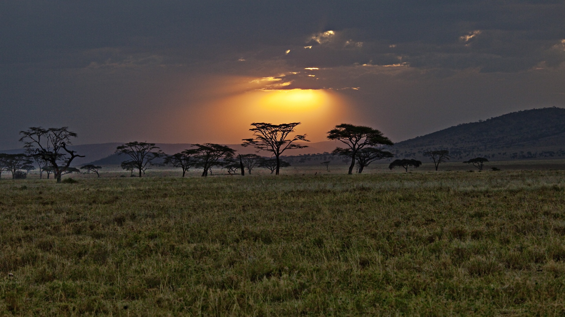 Africa Travels, Vibrant cultures, Diverse landscapes, Adventure calling, 1920x1080 Full HD Desktop