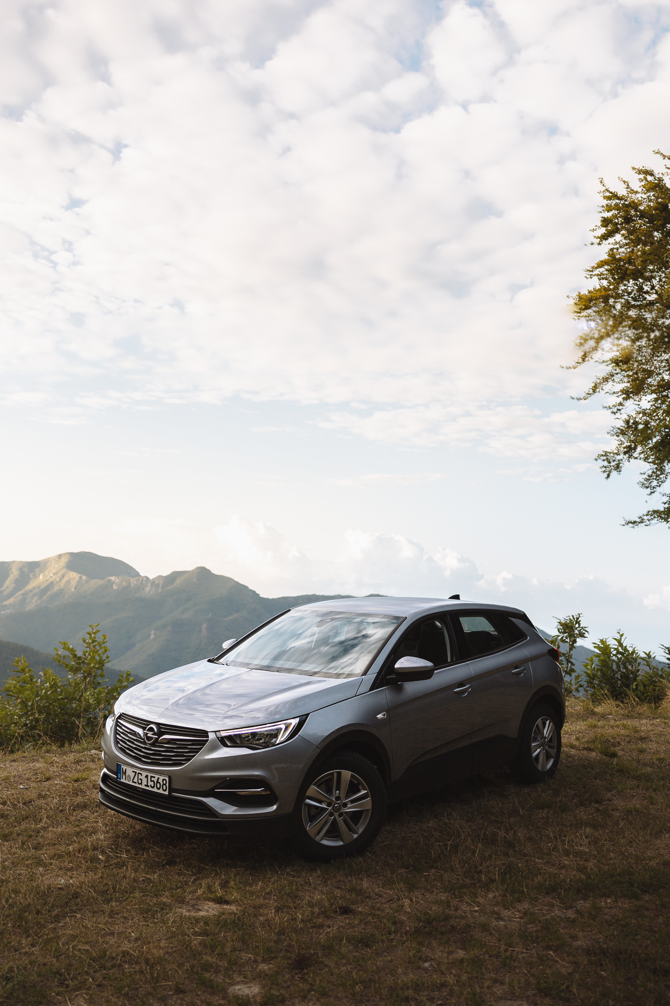 Opel Grandland X, Test, Everything except boring, 1370x2050 HD Phone